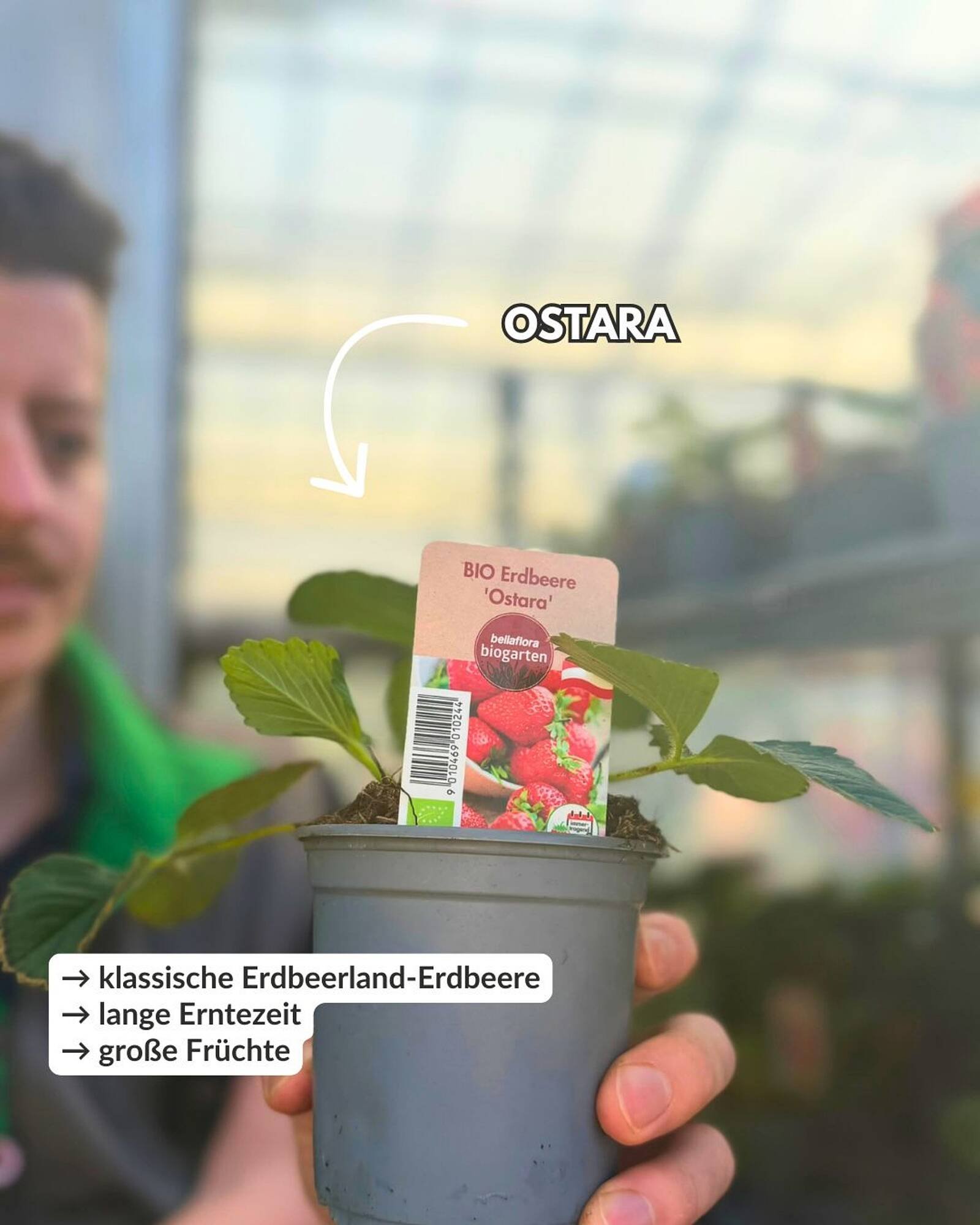 Bellaflora Flugblatt