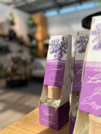 Bellaflora Flugblatt