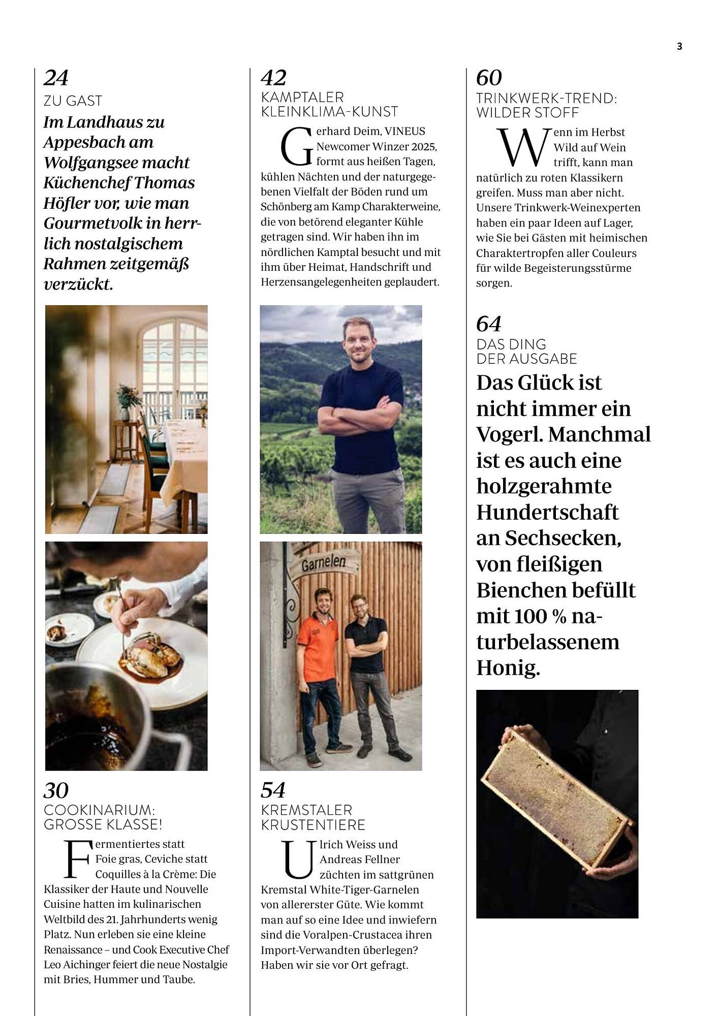 Transgourmet Flugblatt