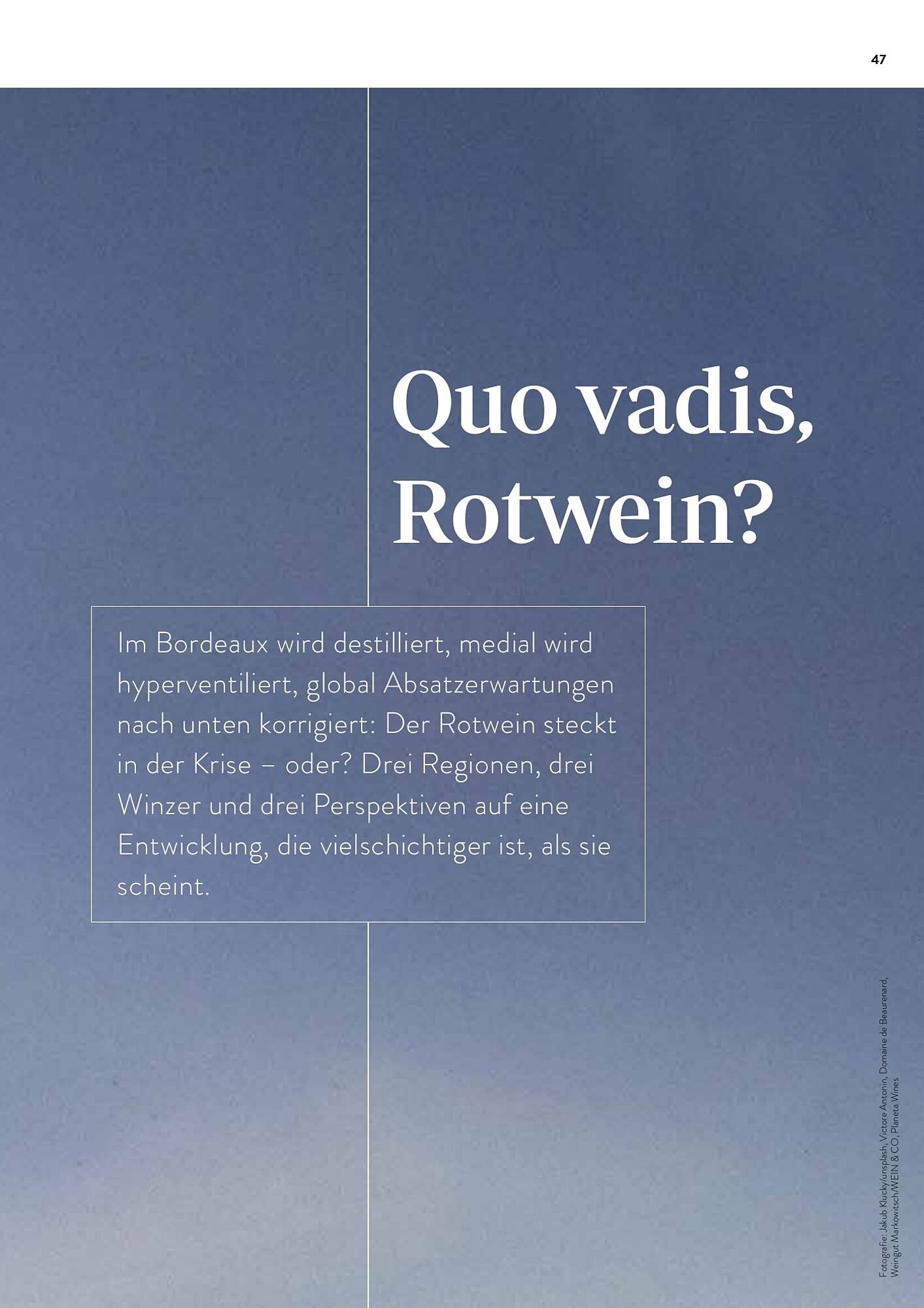 Transgourmet Flugblatt