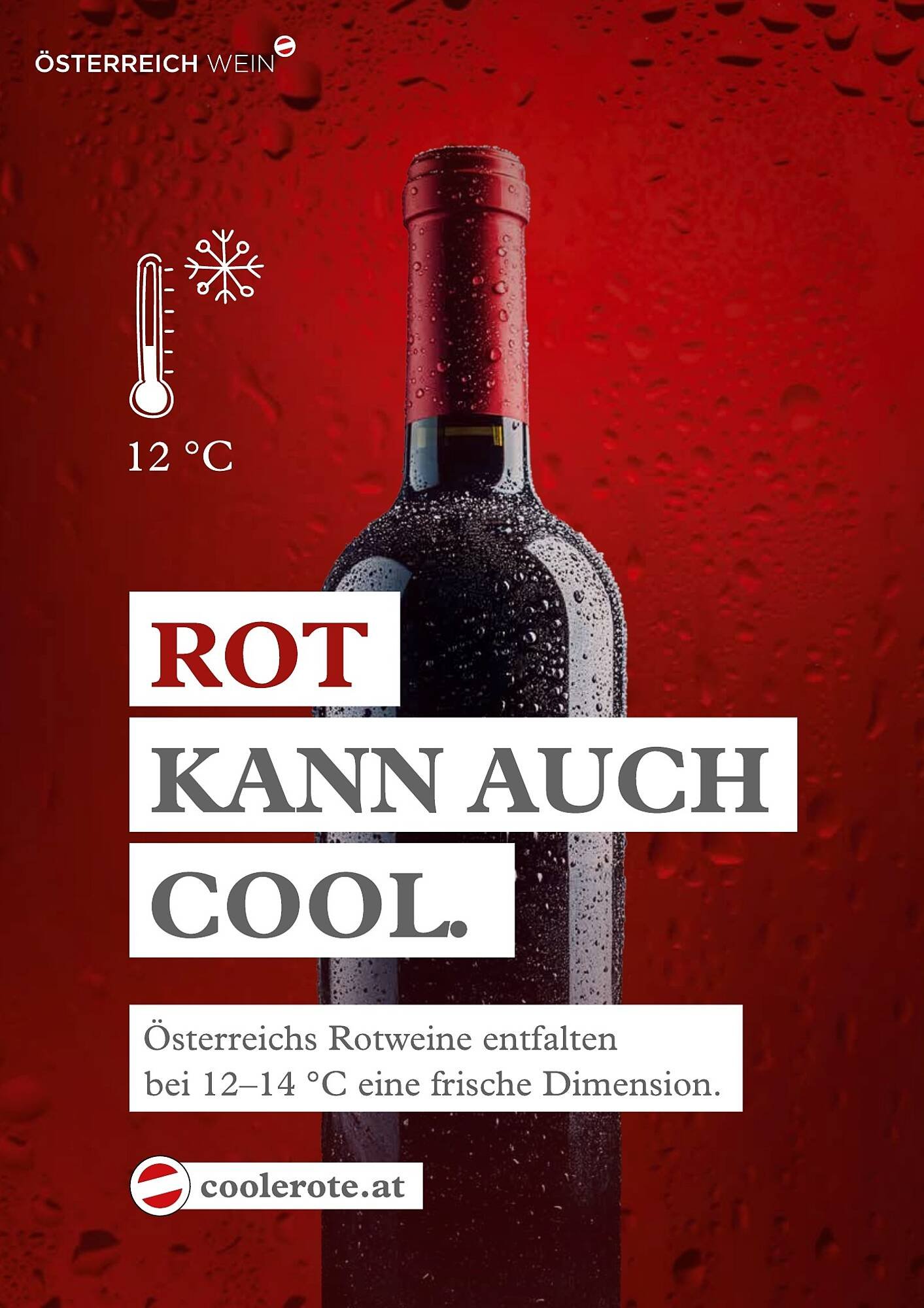 Transgourmet Flugblatt