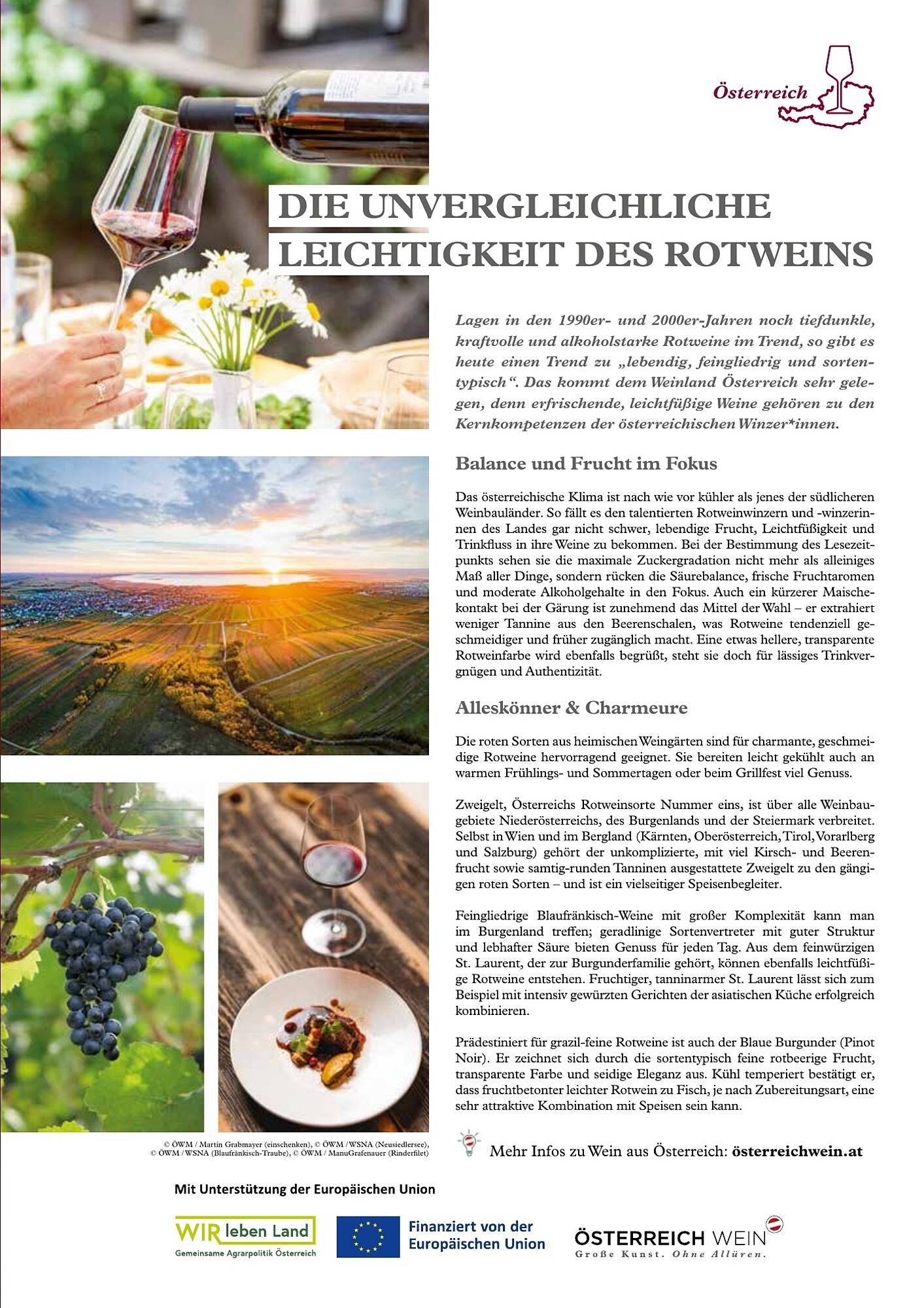 Transgourmet Flugblatt