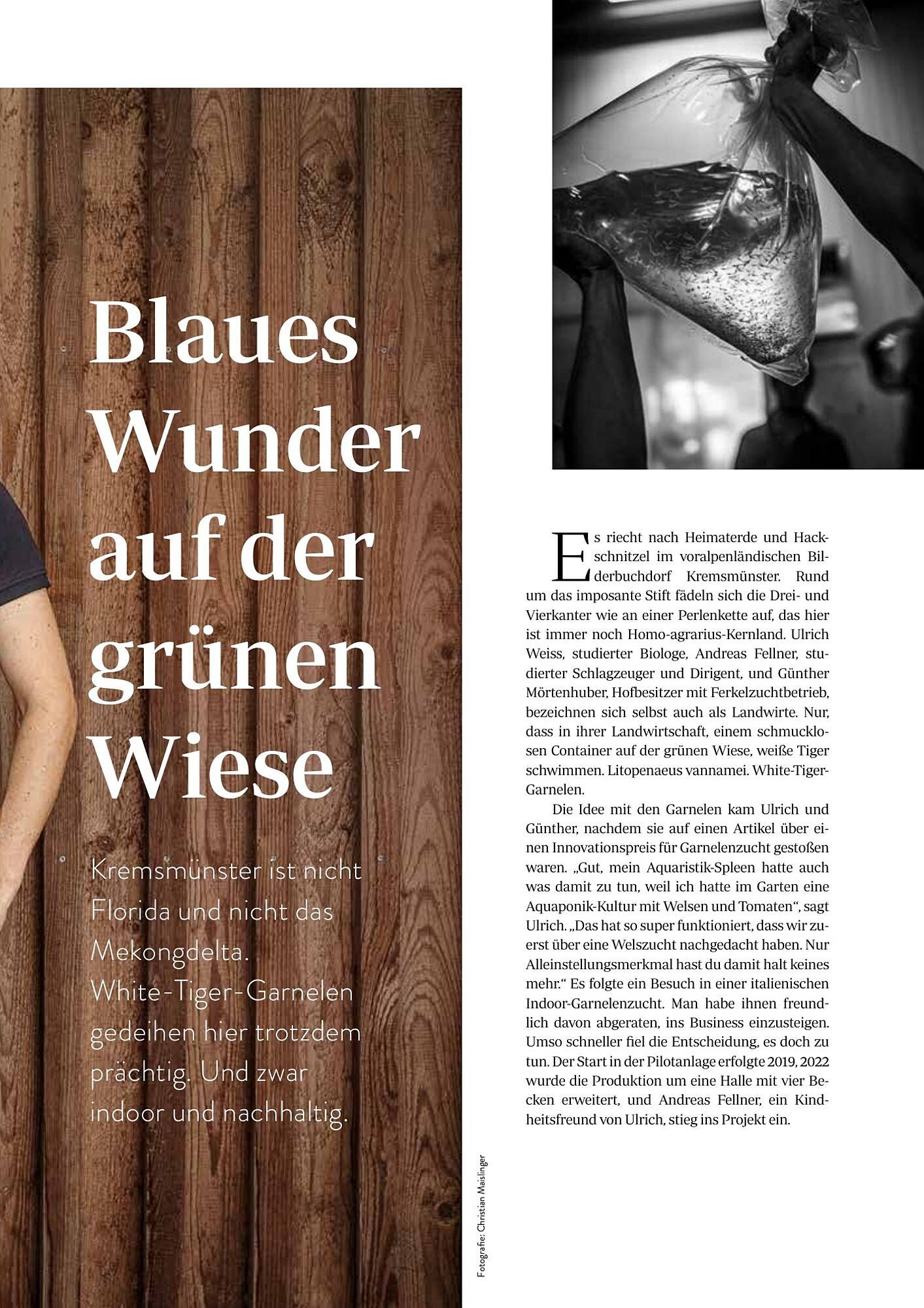 Transgourmet Flugblatt