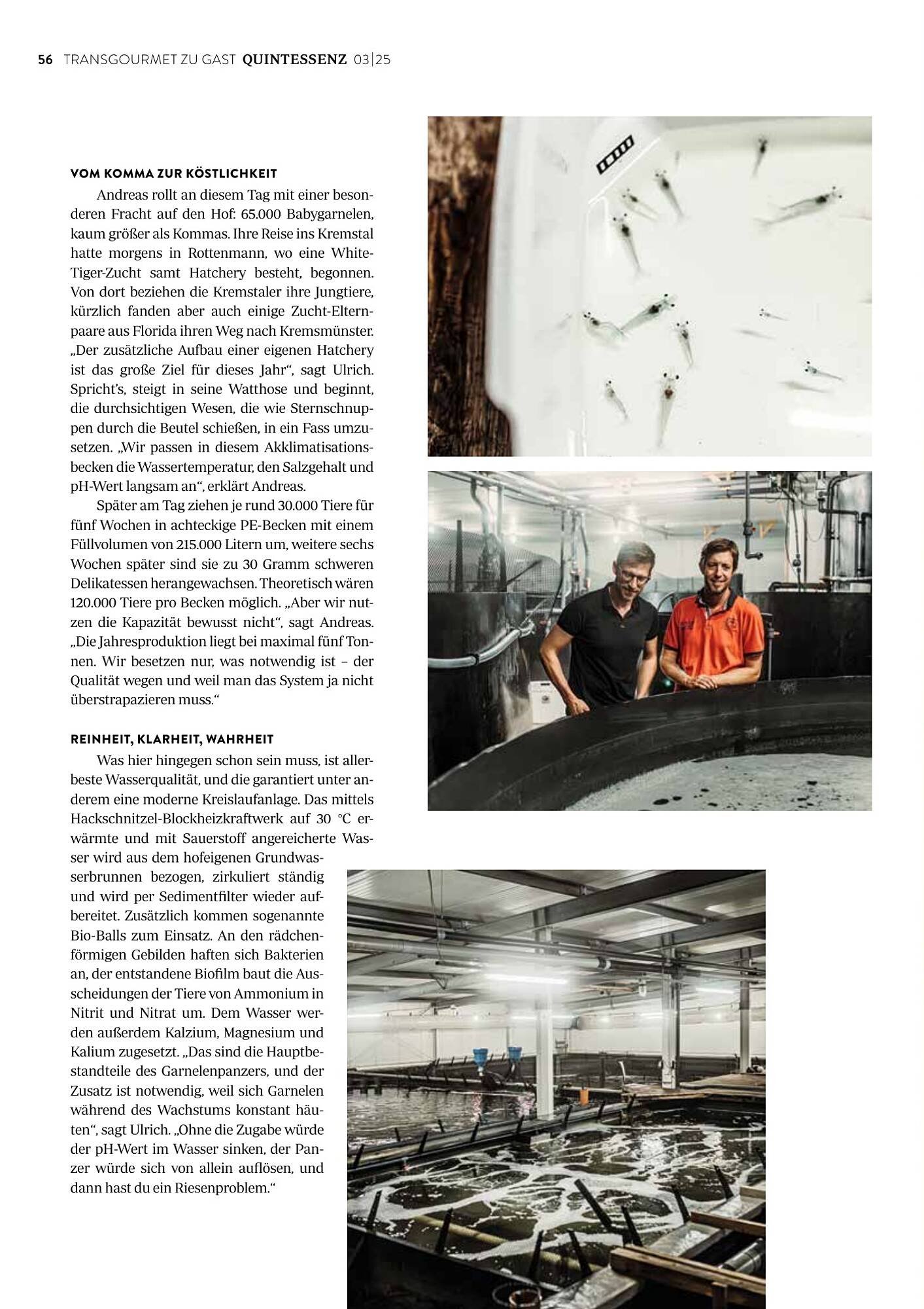 Transgourmet Flugblatt