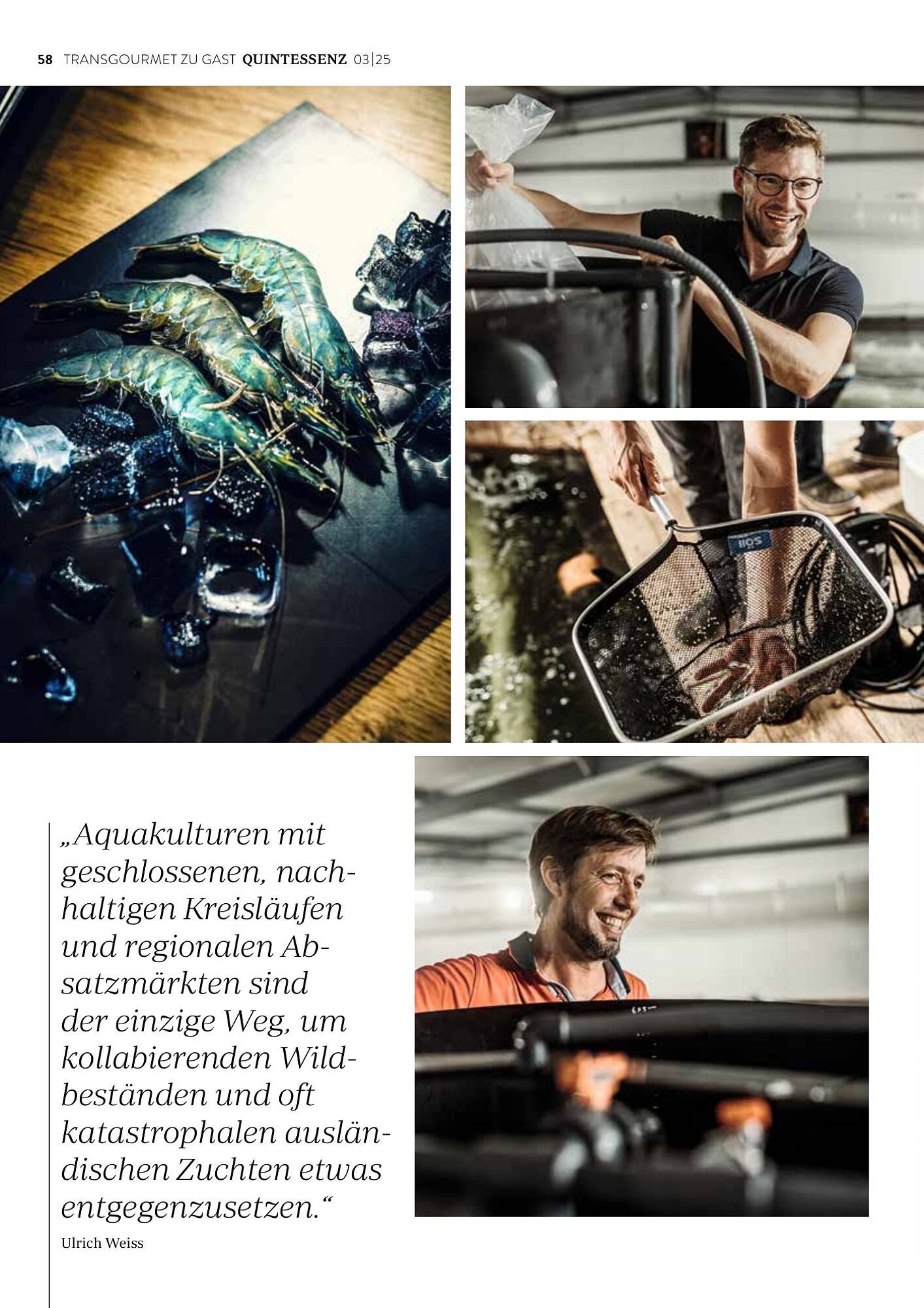 Transgourmet Flugblatt