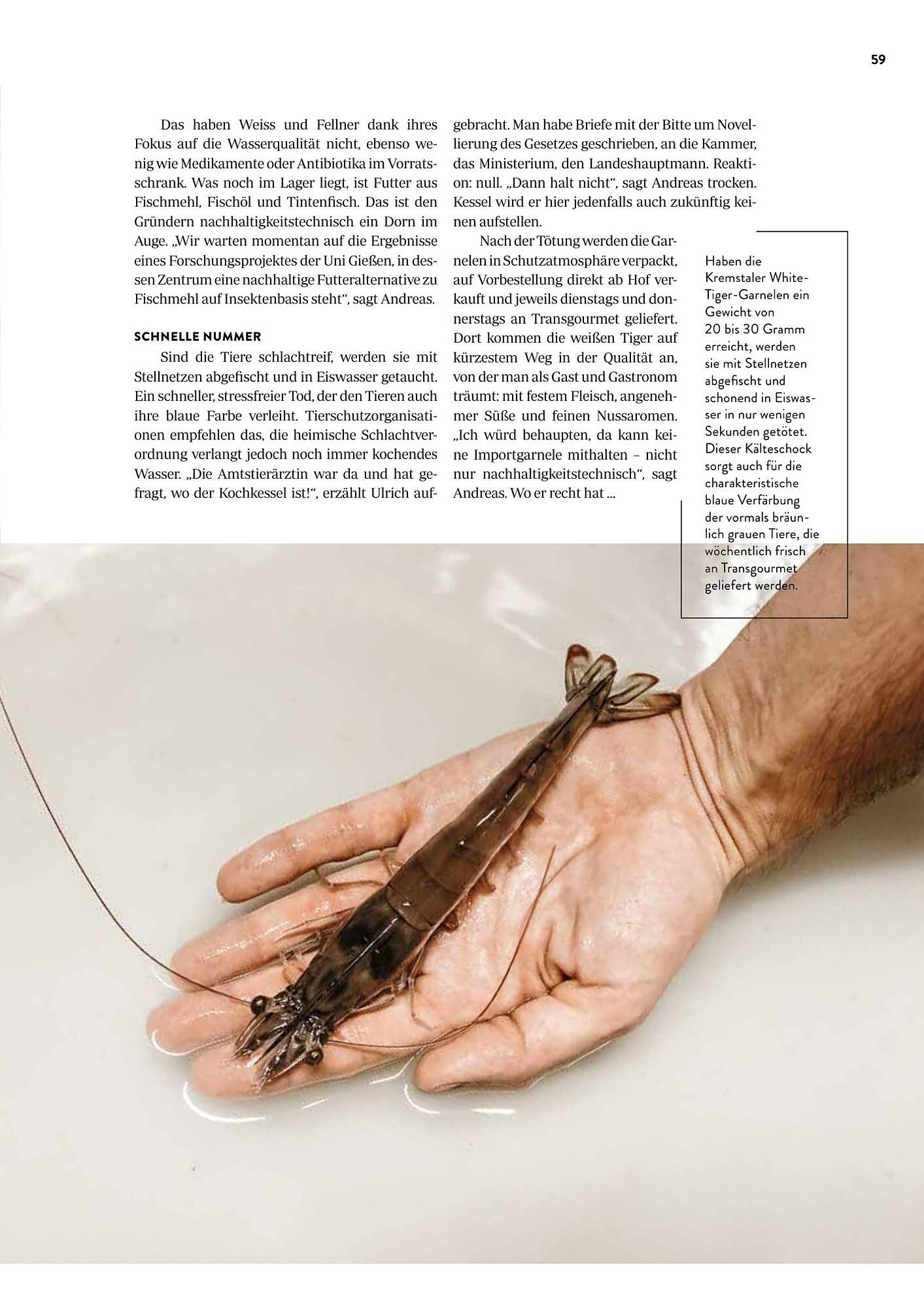 Transgourmet Flugblatt