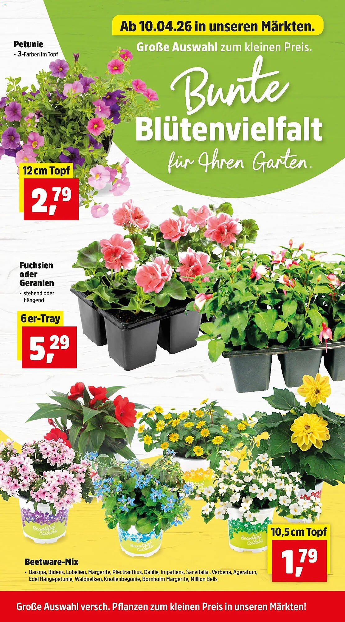 Thomas Philipps Prospekt