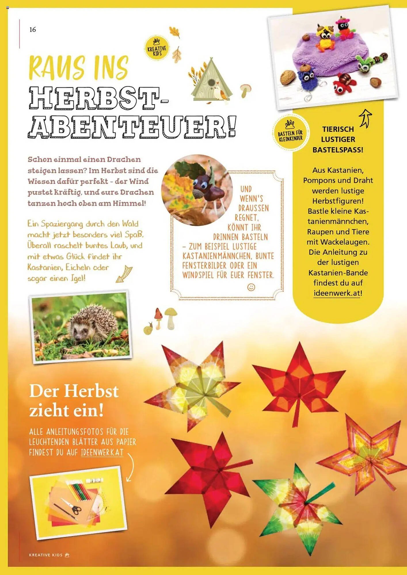 Pagro Diskont Flugblatt