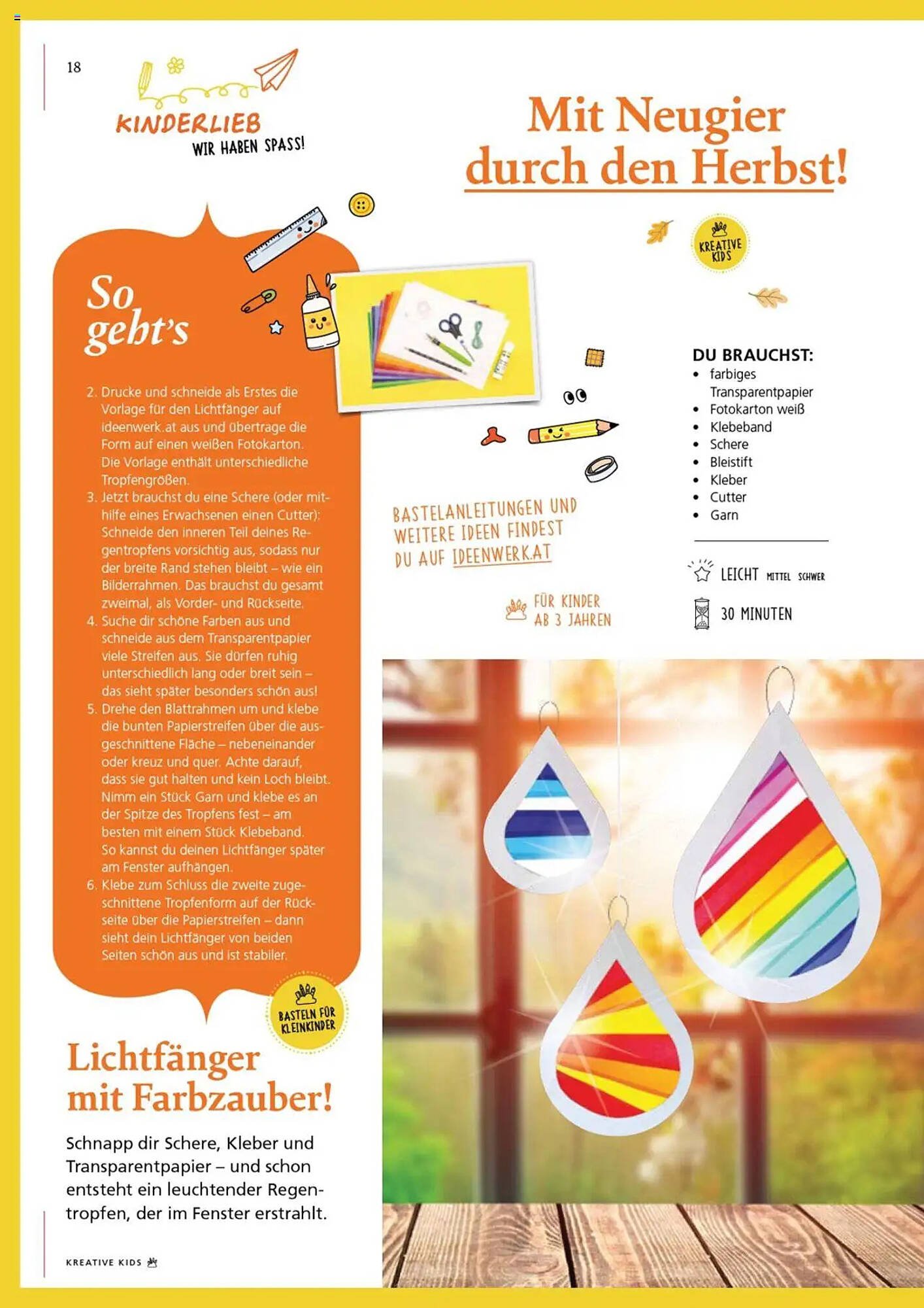 Pagro Diskont Flugblatt