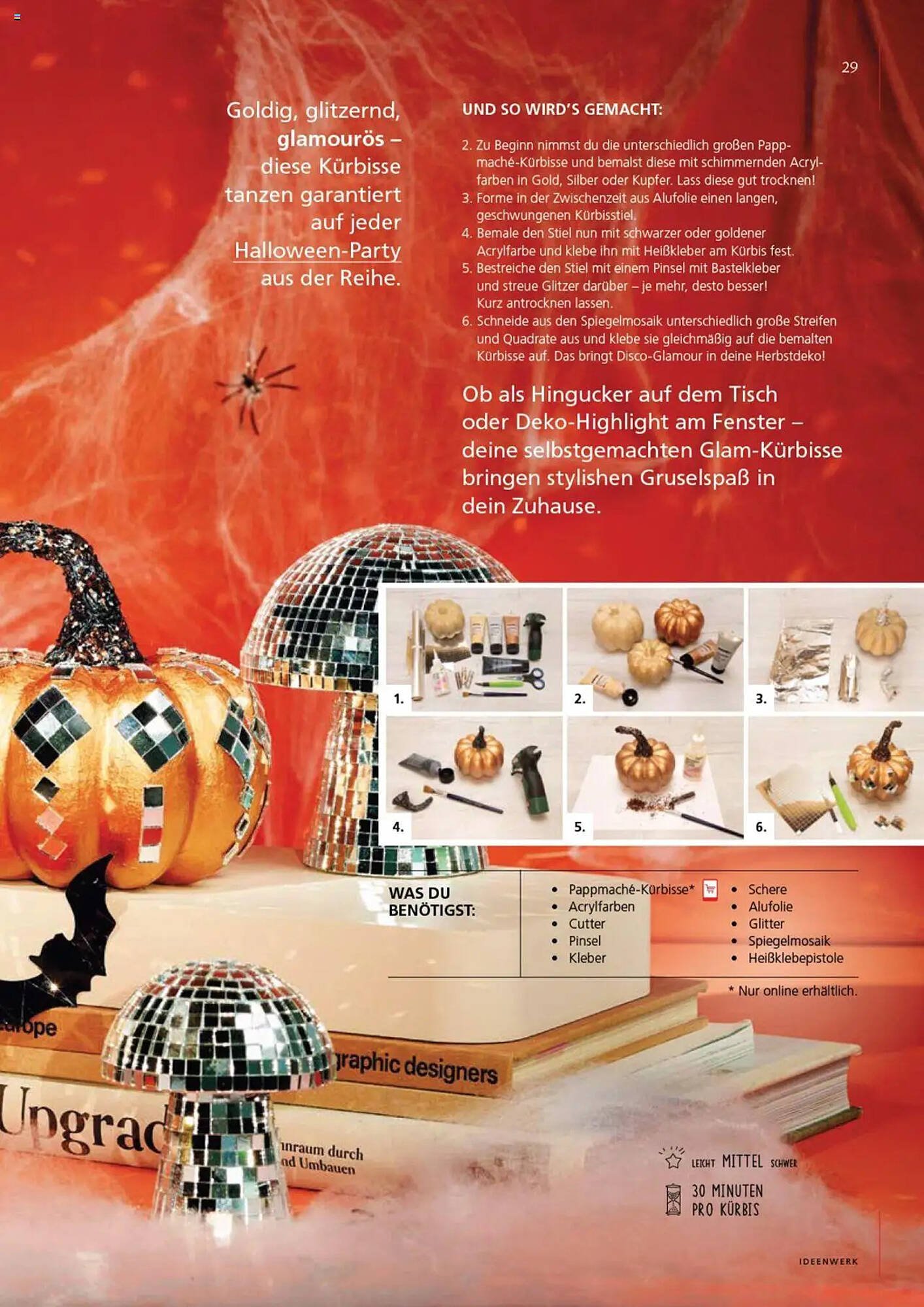 Pagro Diskont Flugblatt