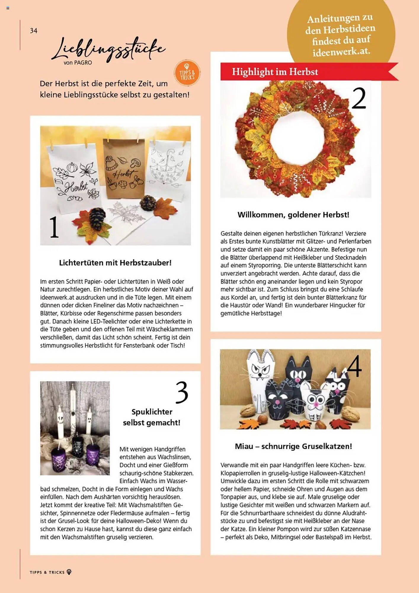 Pagro Diskont Flugblatt