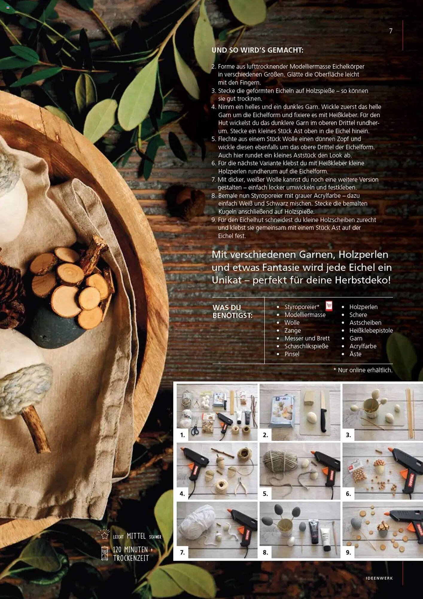 Pagro Diskont Flugblatt