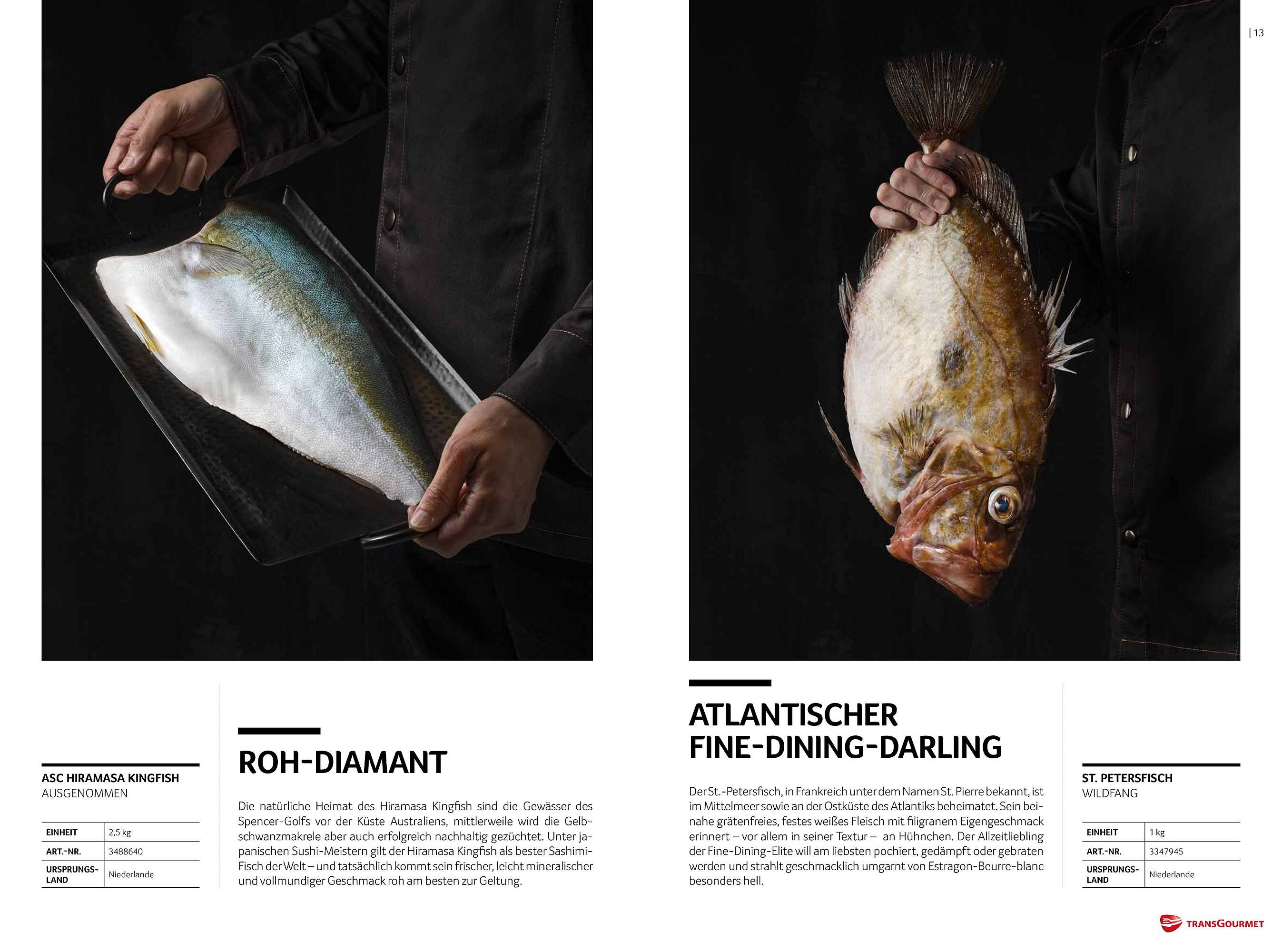 Transgourmet Flugblatt