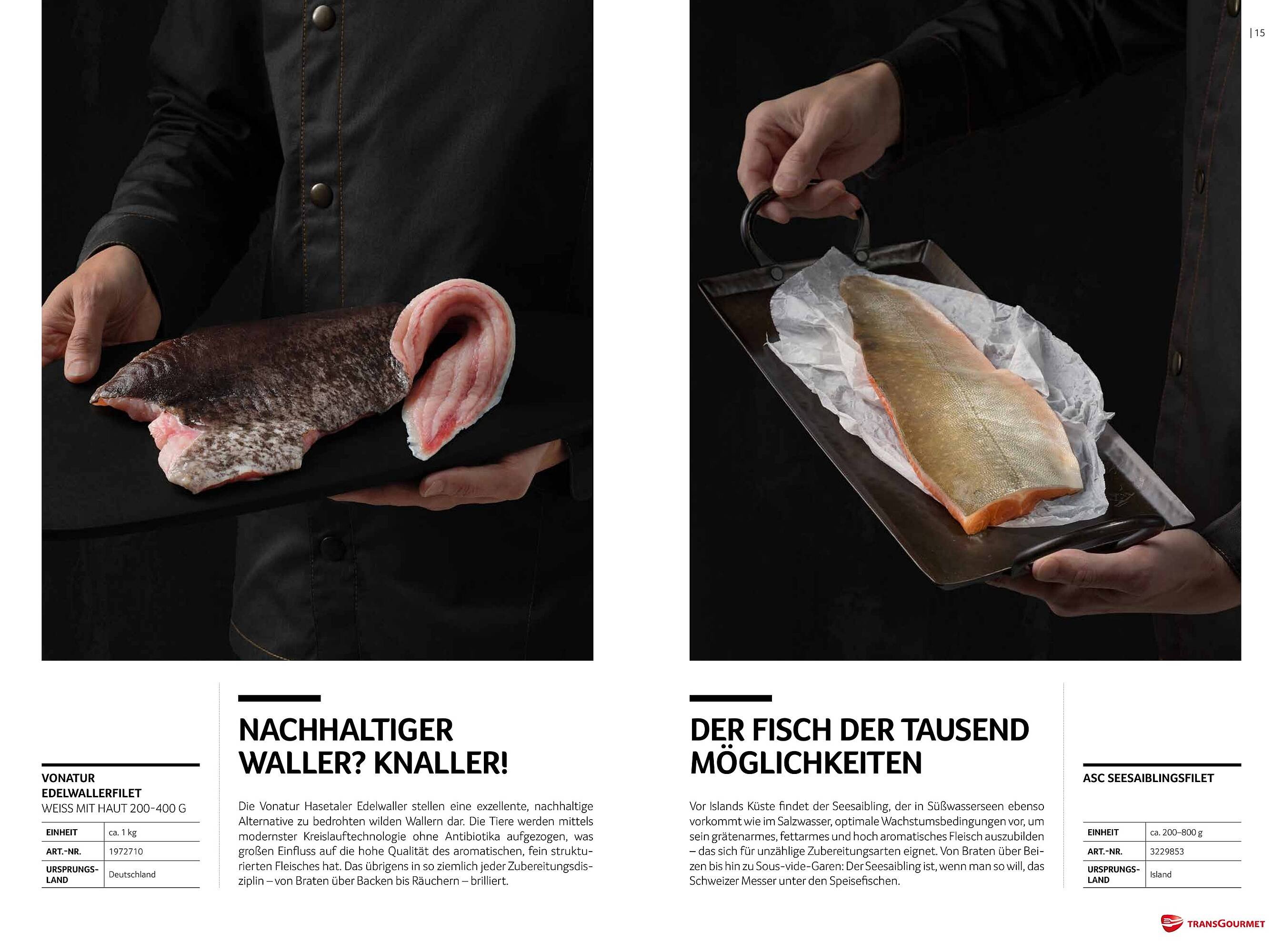Transgourmet Flugblatt