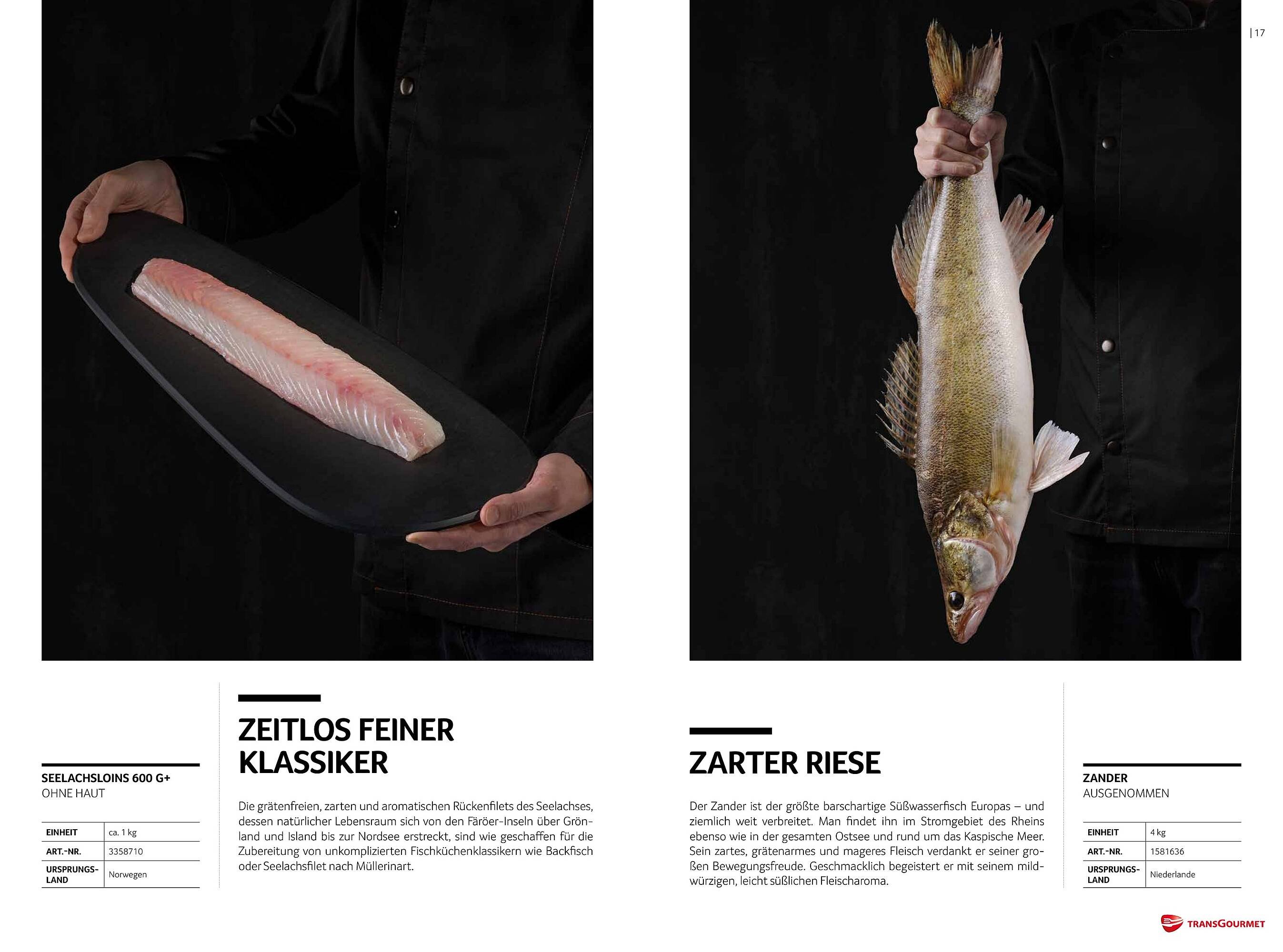 Transgourmet Flugblatt