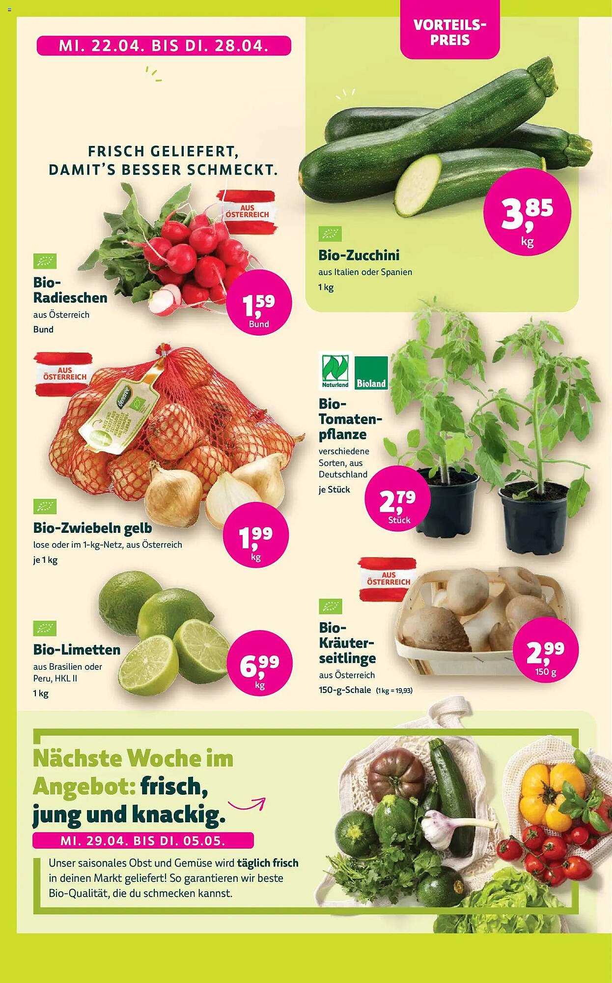Denn's Biomarkt Flugblatt