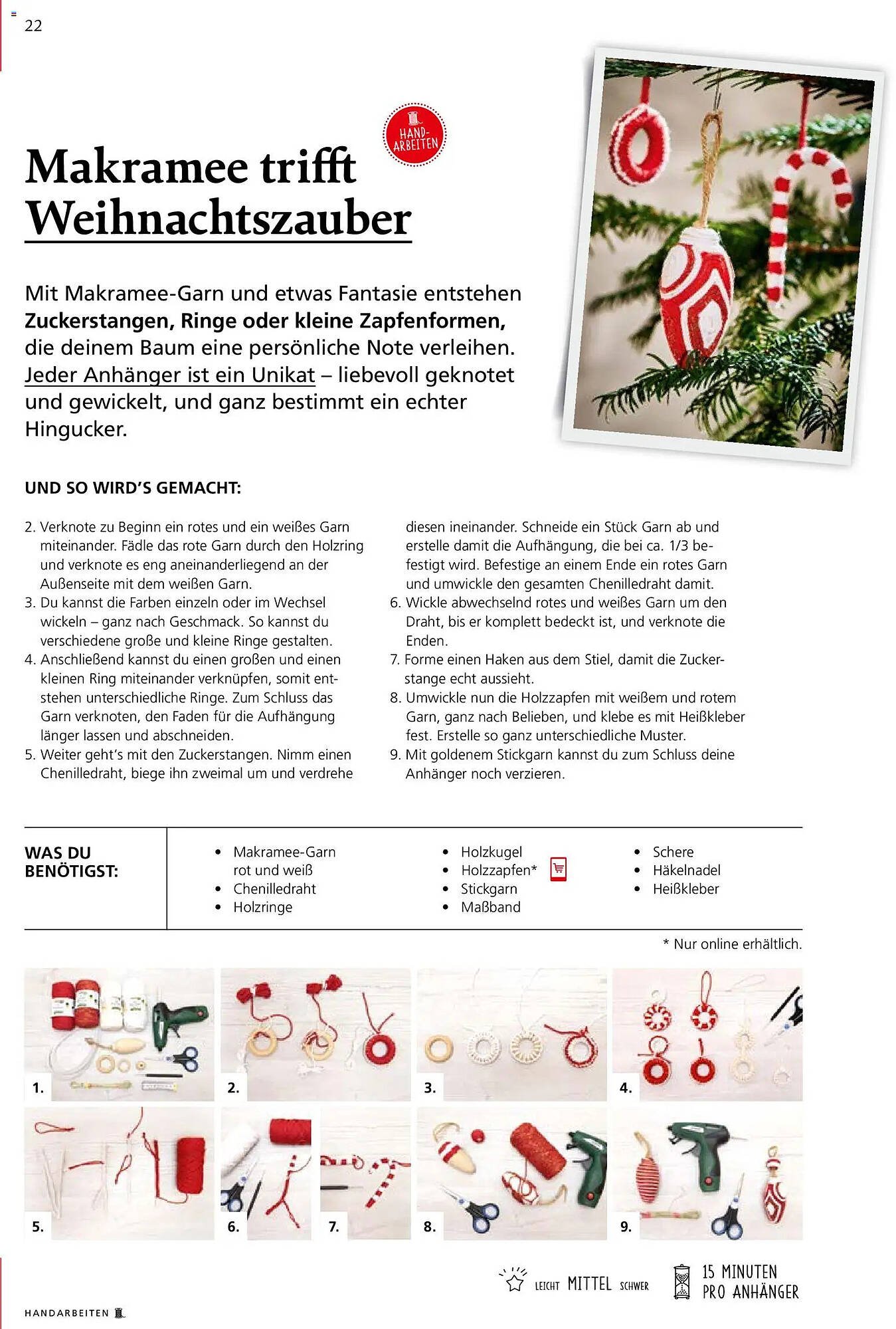 Pagro Diskont Flugblatt