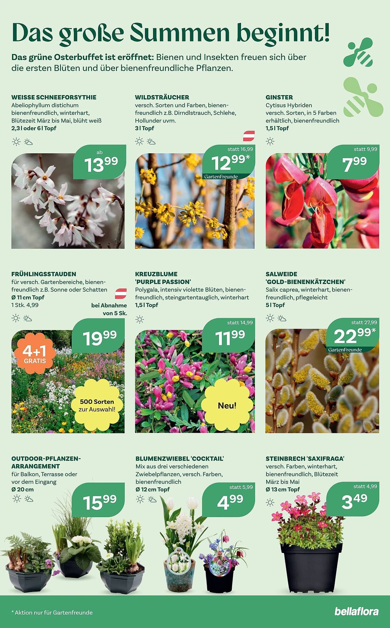 Bellaflora Flugblatt