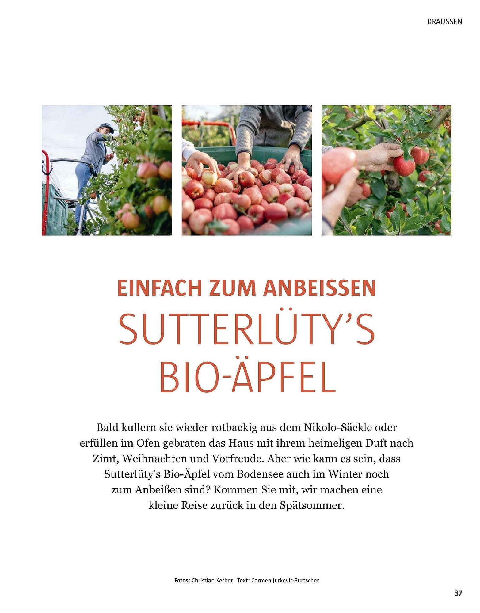 Sutterlüty Flugblatt