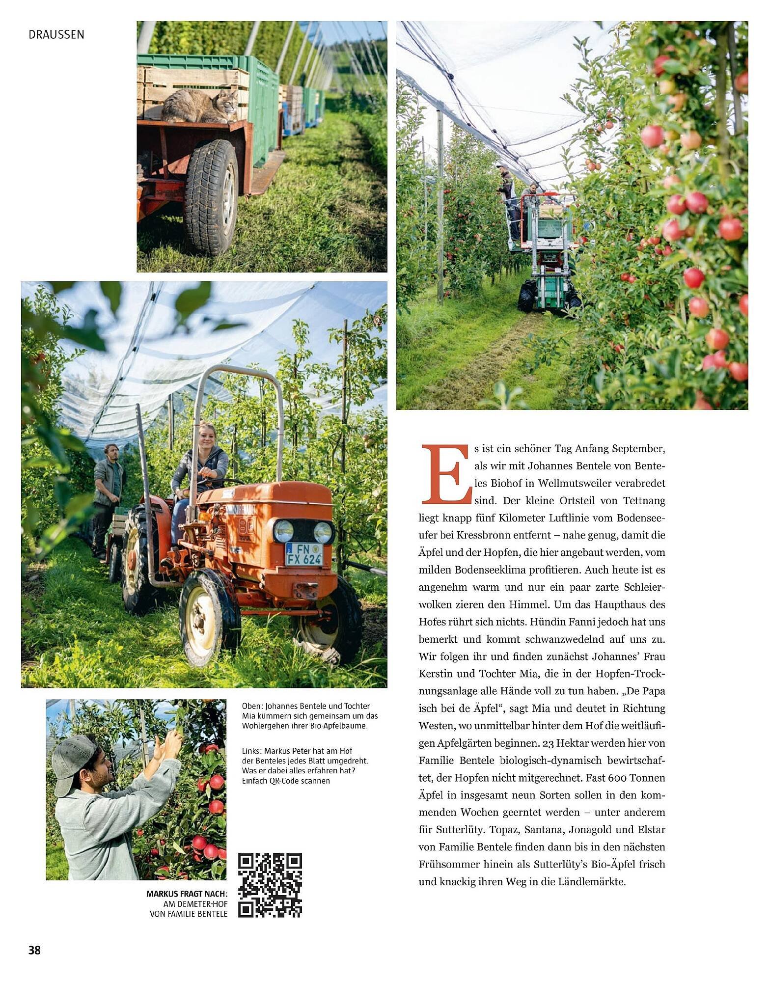 Sutterlüty Flugblatt