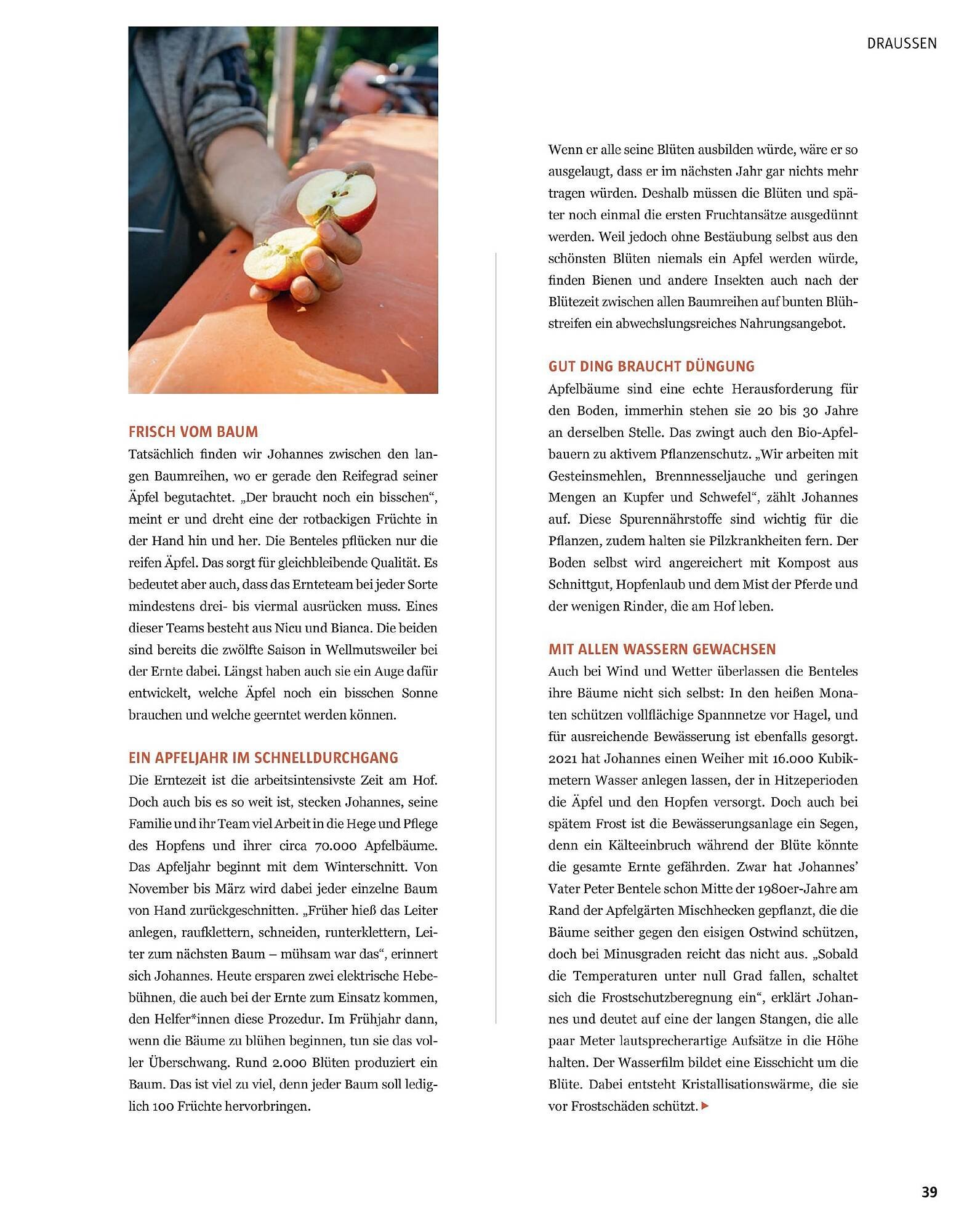 Sutterlüty Flugblatt