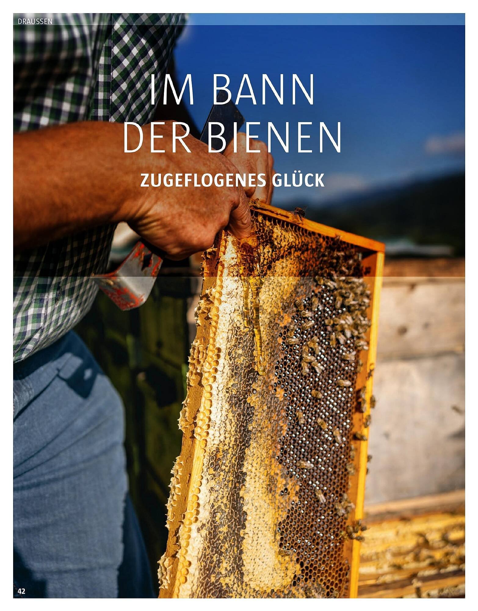 Sutterlüty Flugblatt