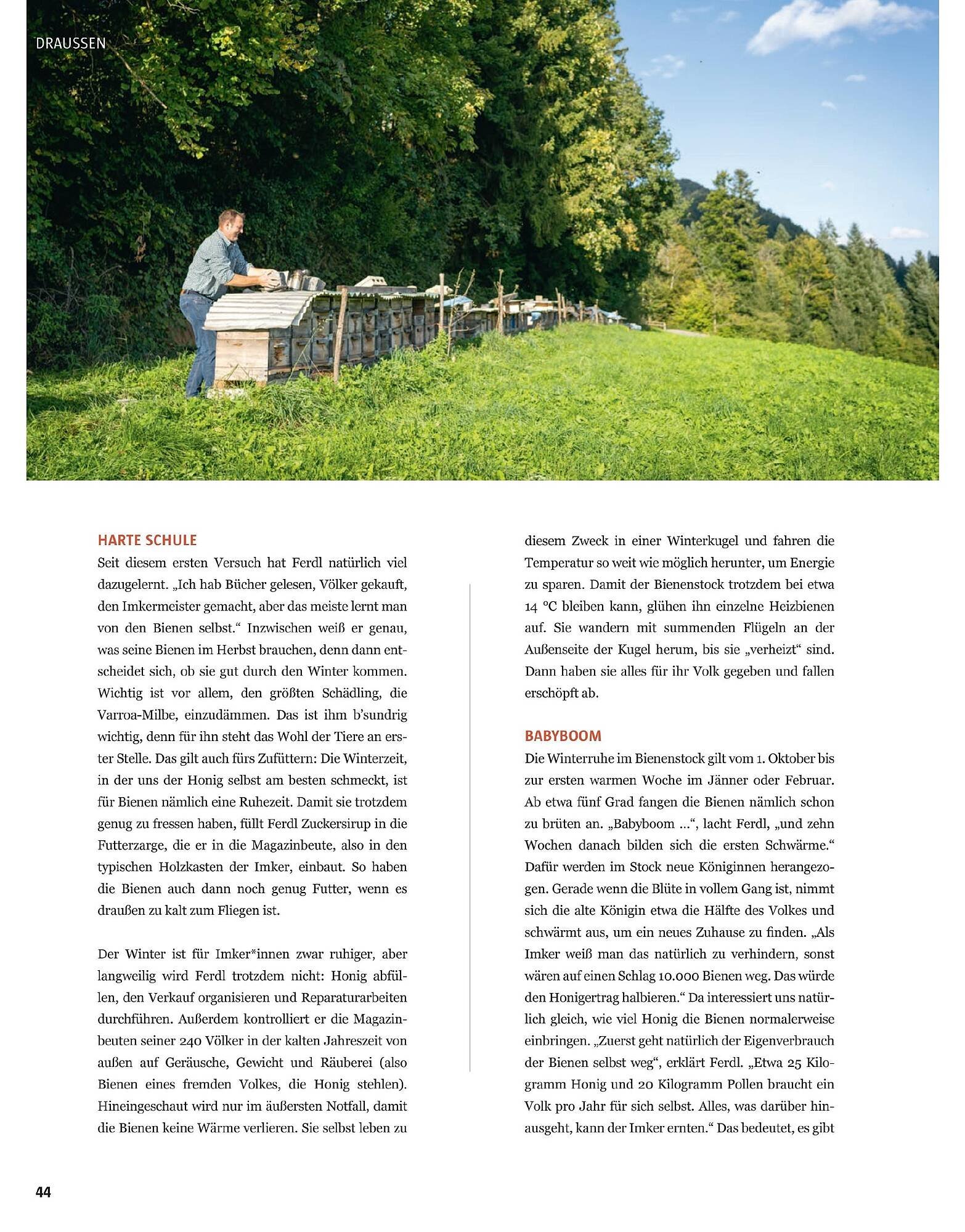 Sutterlüty Flugblatt