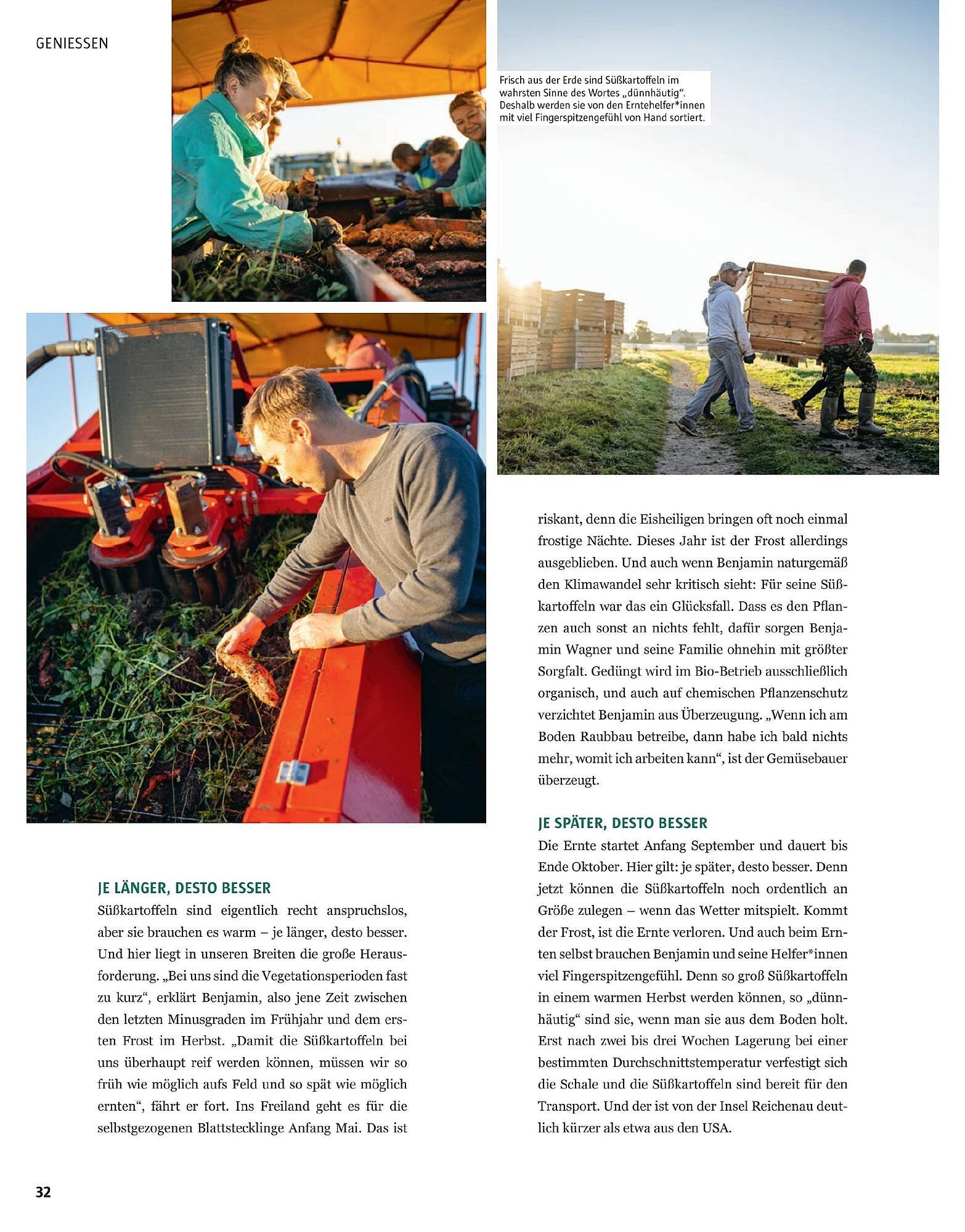 Sutterlüty Flugblatt