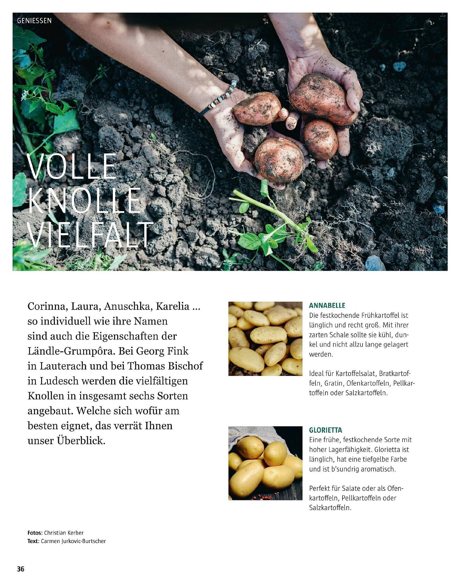 Sutterlüty Flugblatt