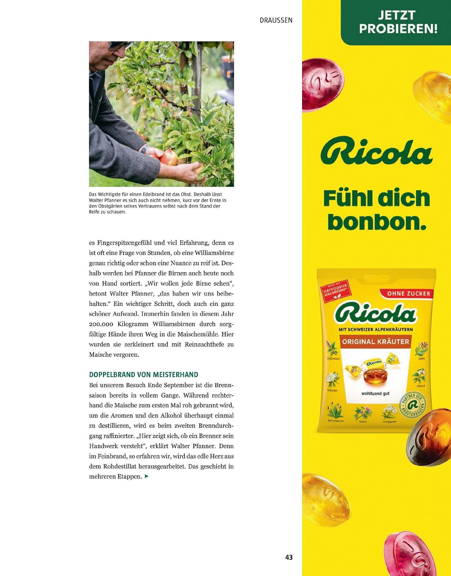 Sutterlüty Flugblatt