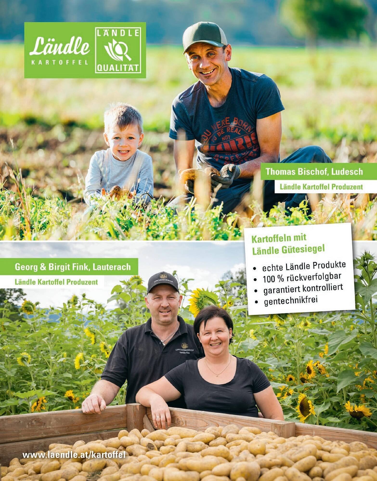 Sutterlüty Flugblatt