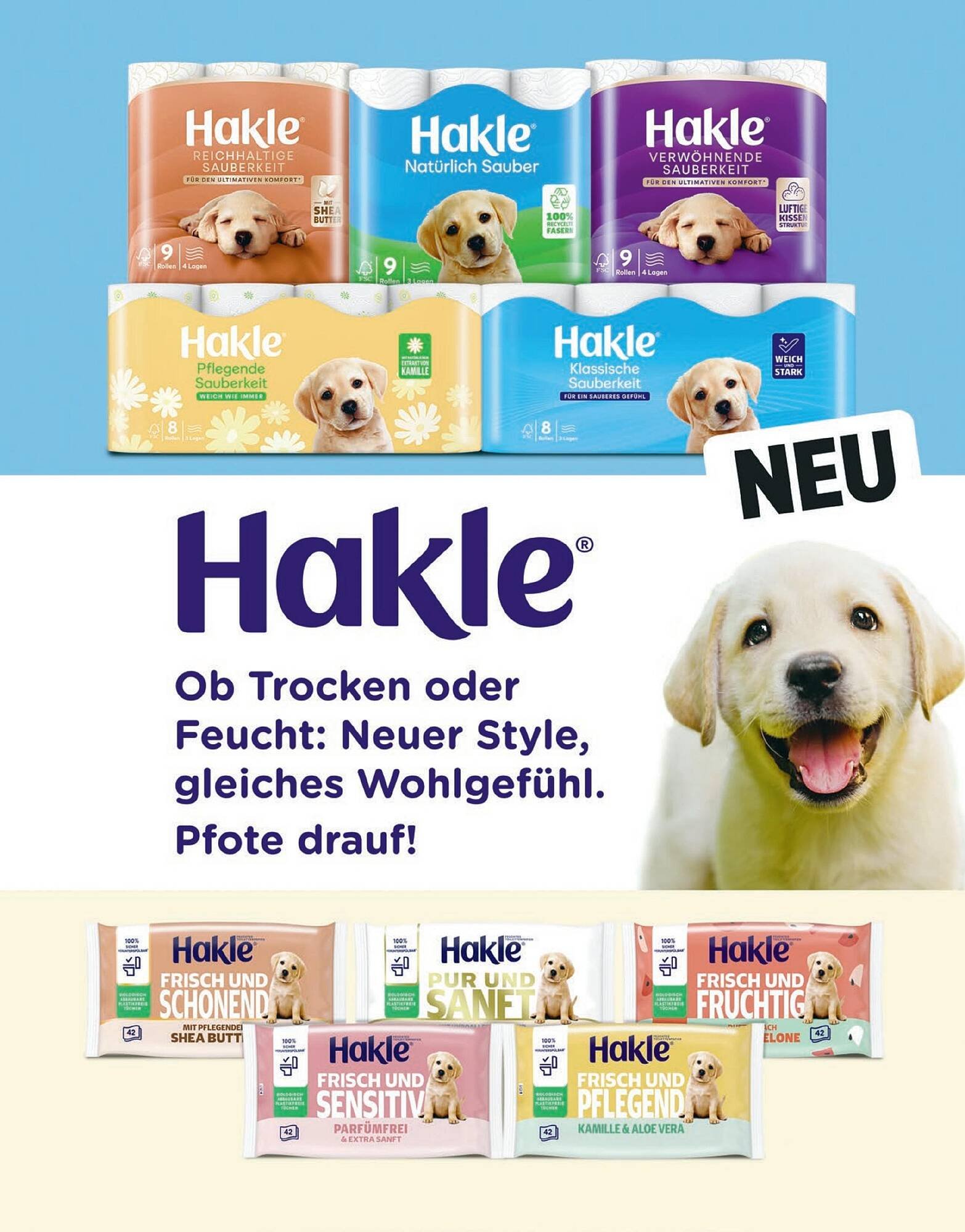 Sutterlüty Flugblatt