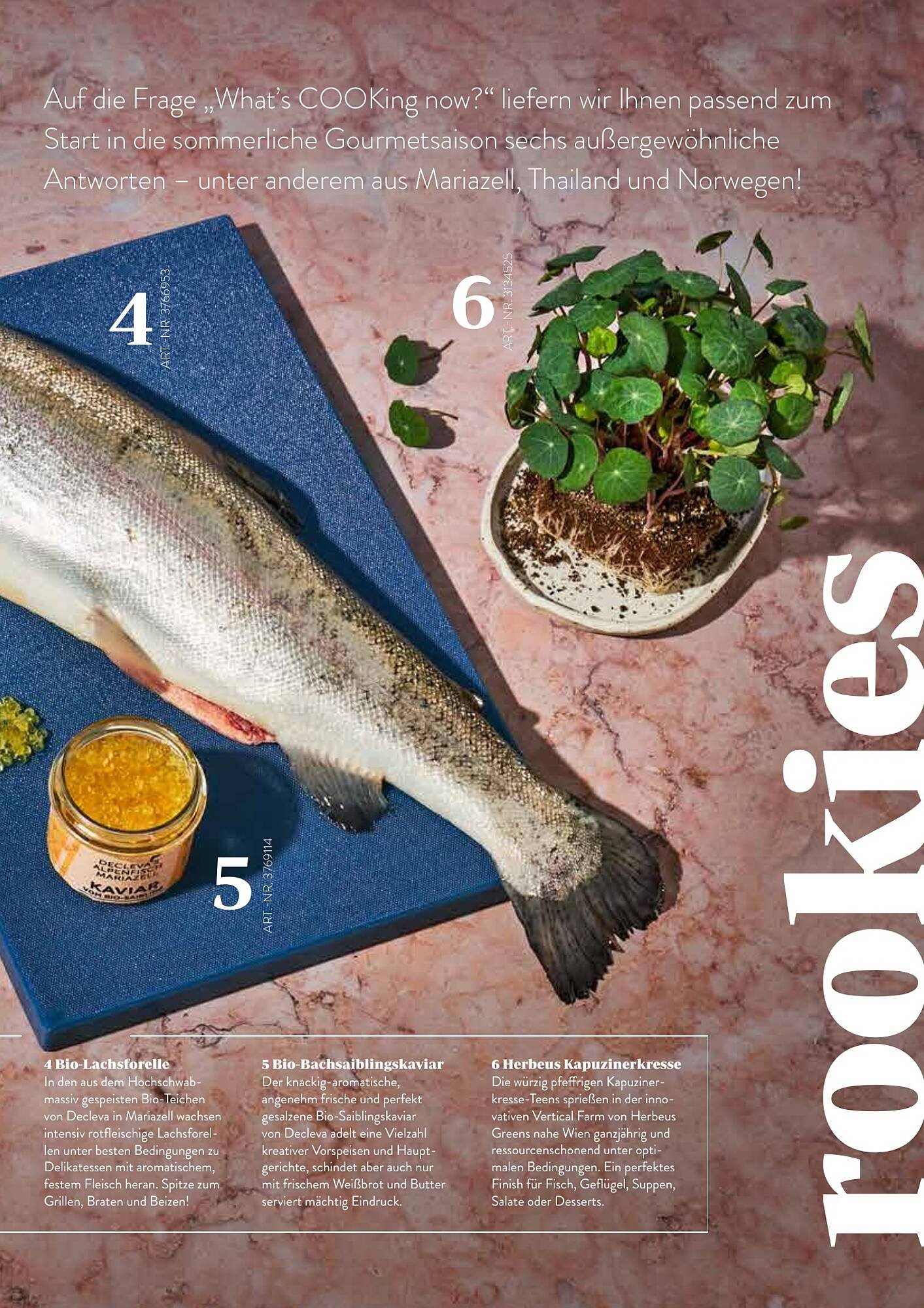 Transgourmet Flugblatt