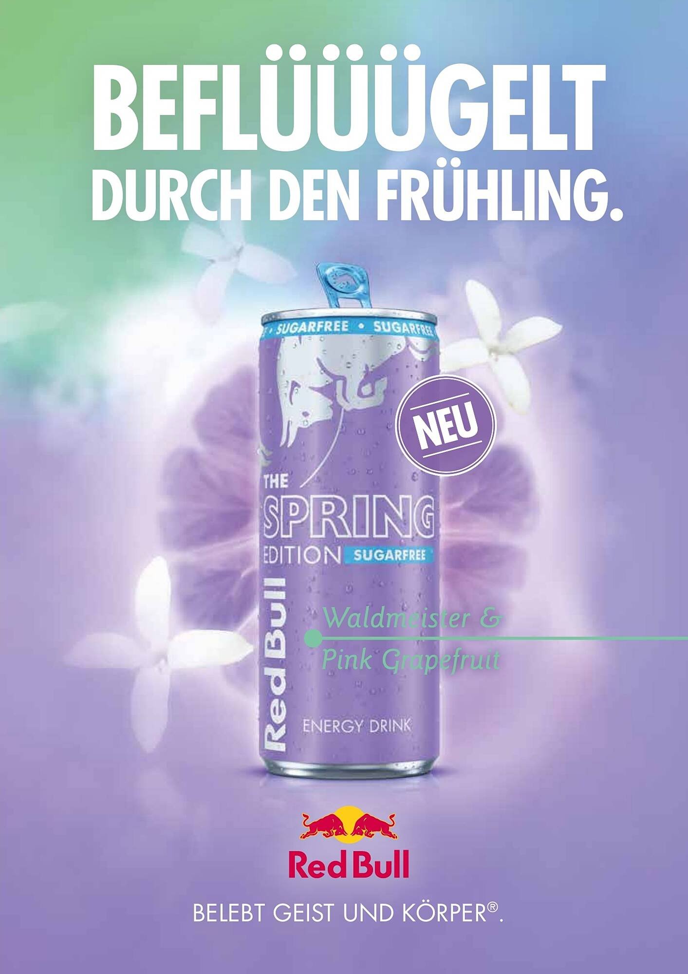 Transgourmet Flugblatt