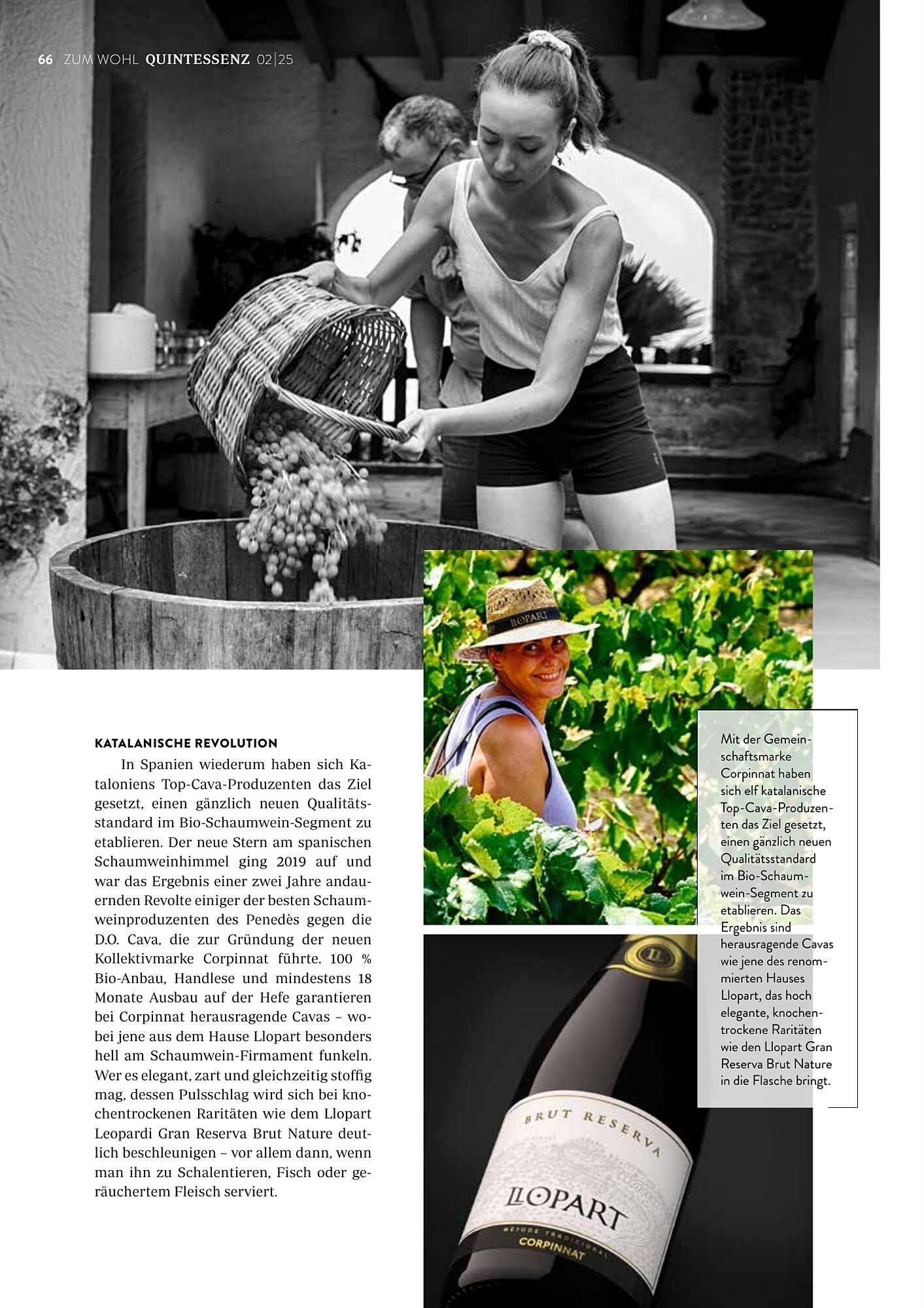 Transgourmet Flugblatt