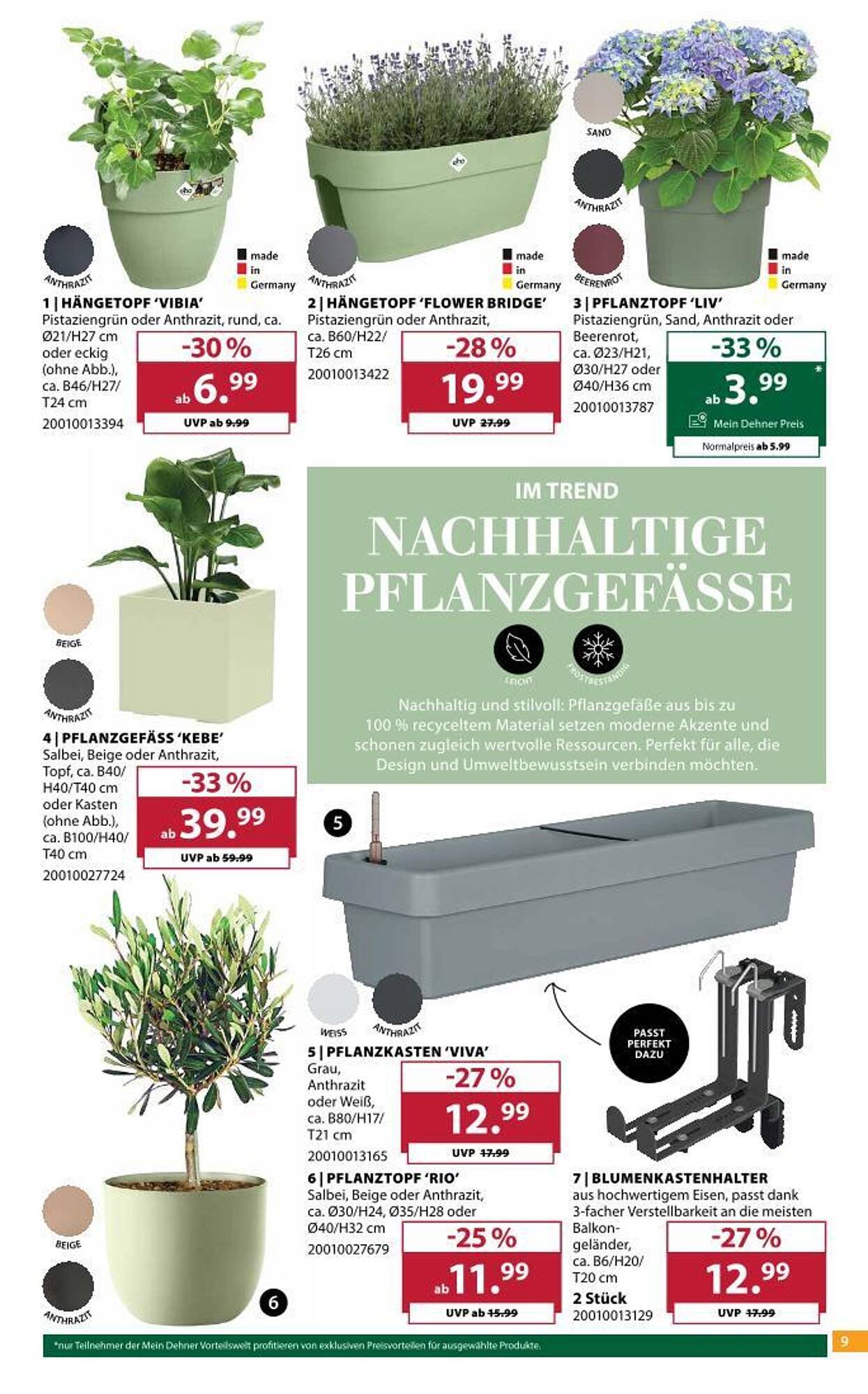 Dehner Flugblatt