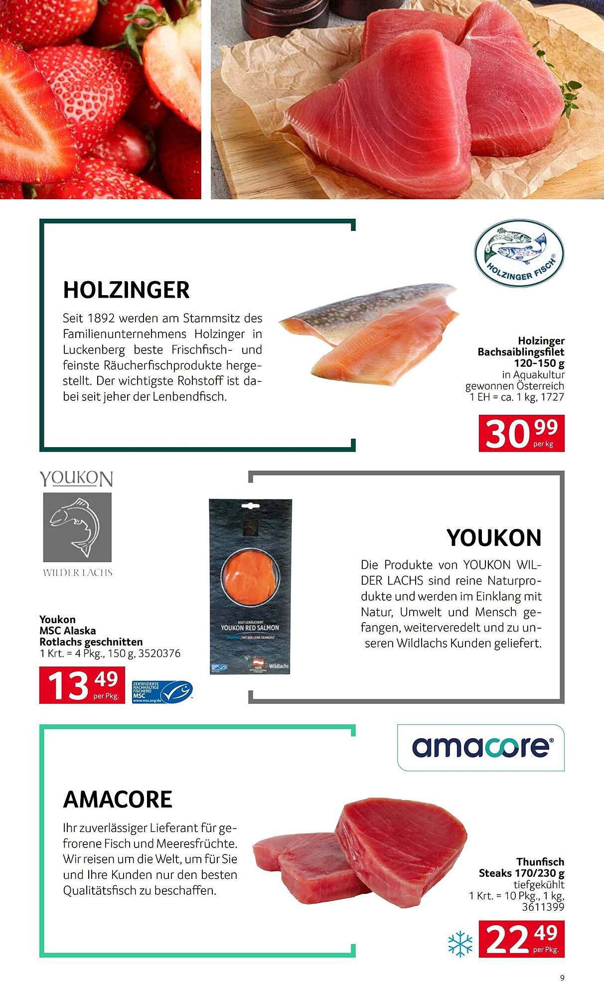 Transgourmet Flugblatt