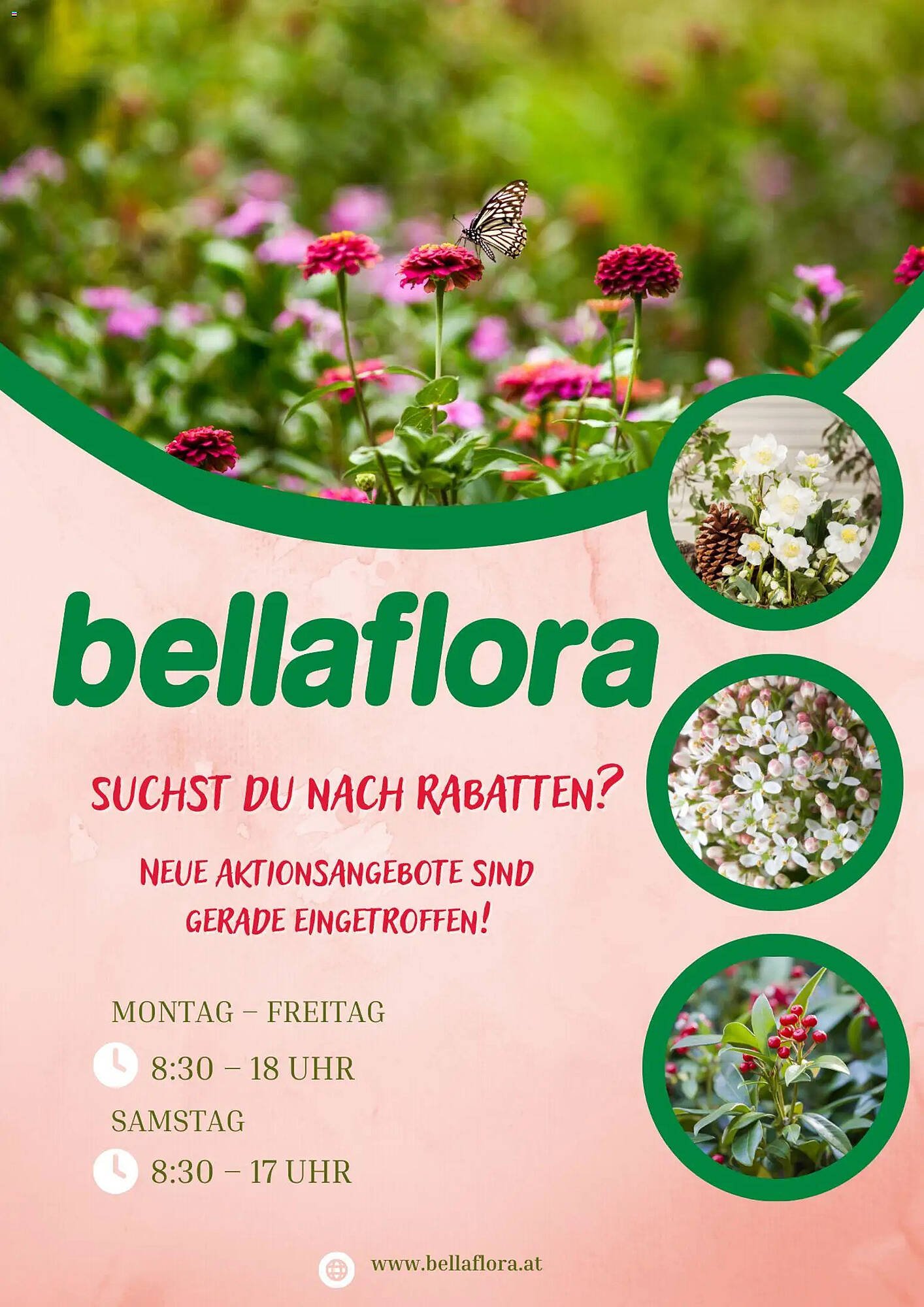 Bellaflora Flugblatt