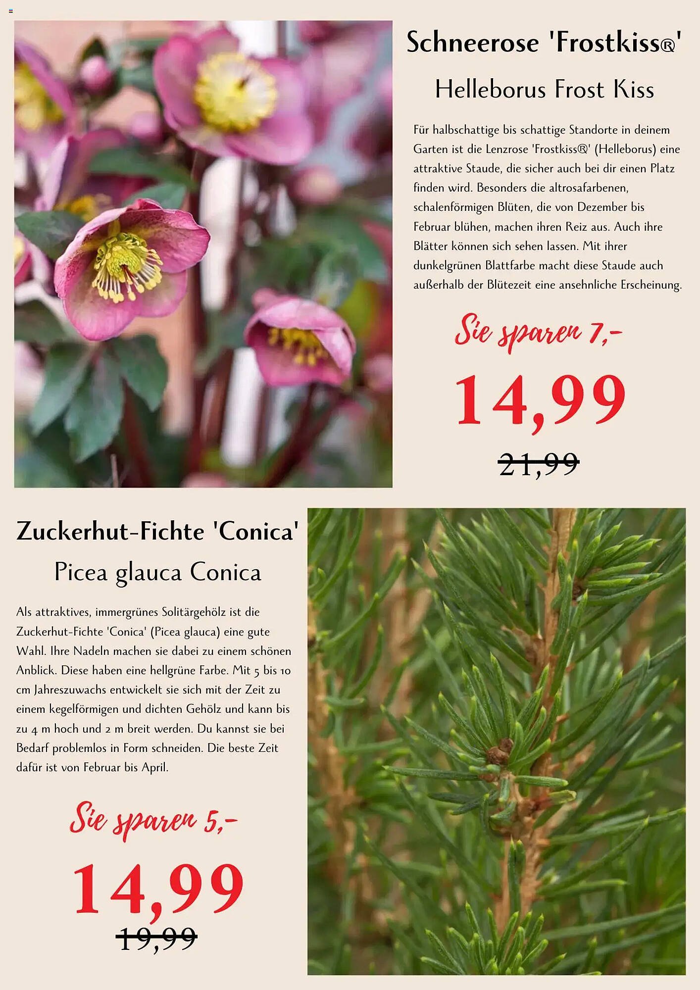 Bellaflora Flugblatt