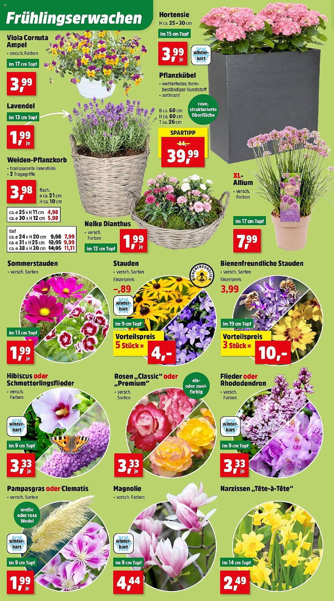 Thomas Philipps Prospekt