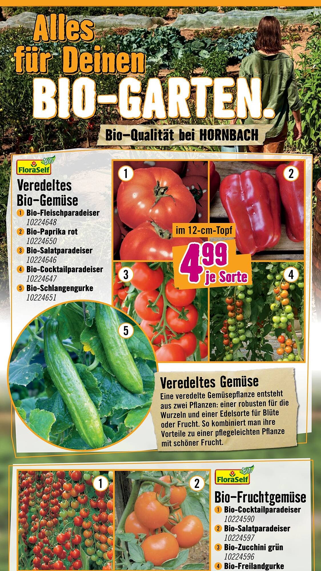 Hornbach Flugblatt
