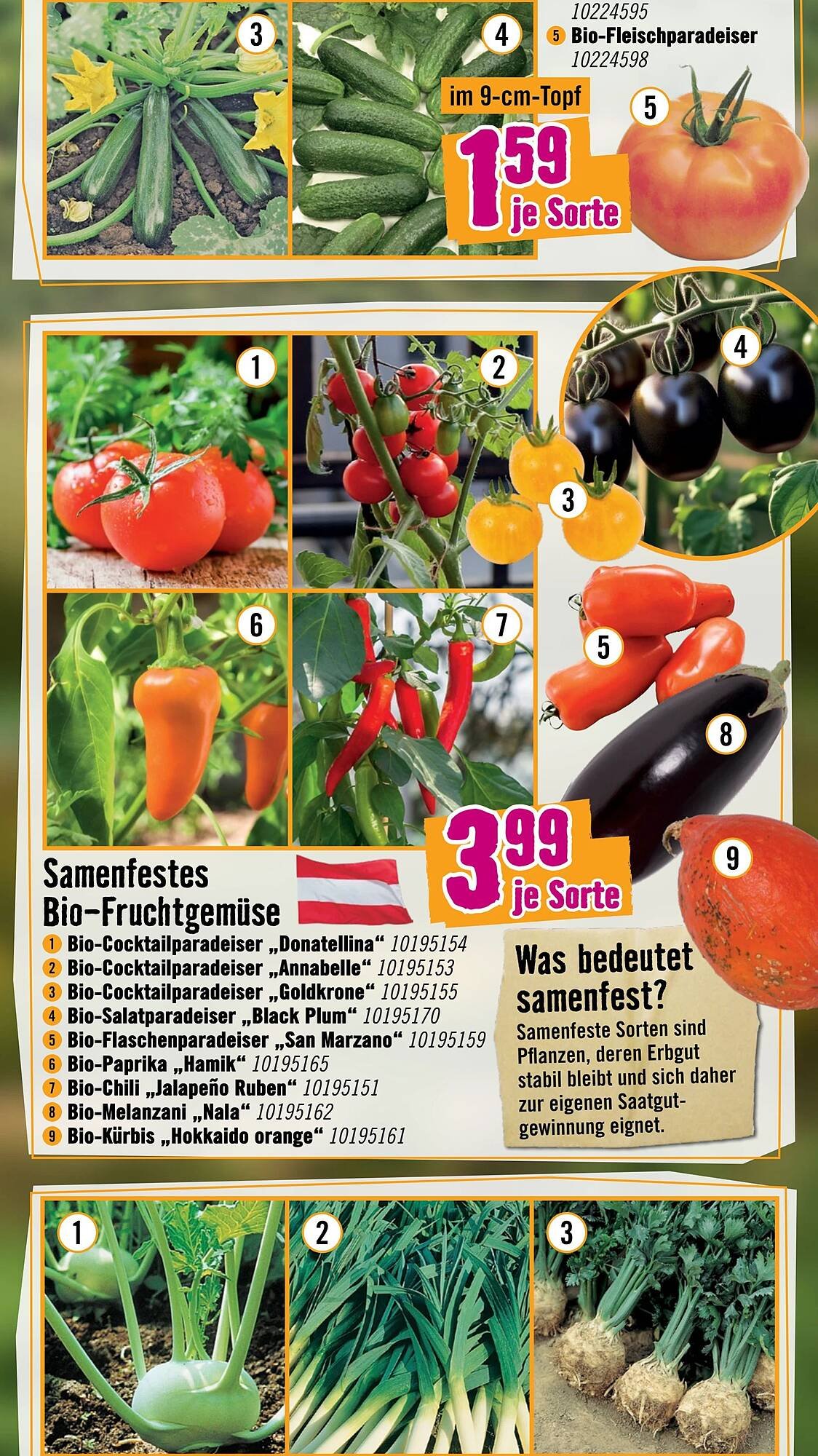Hornbach Flugblatt