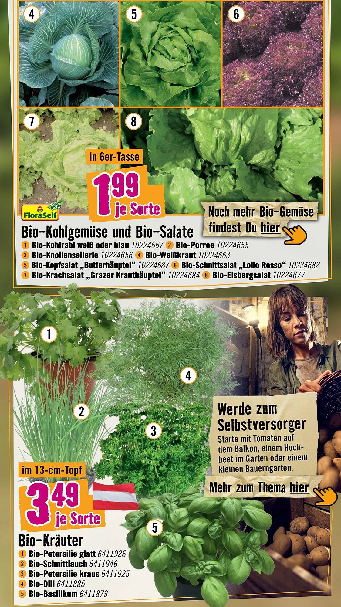 Hornbach Flugblatt
