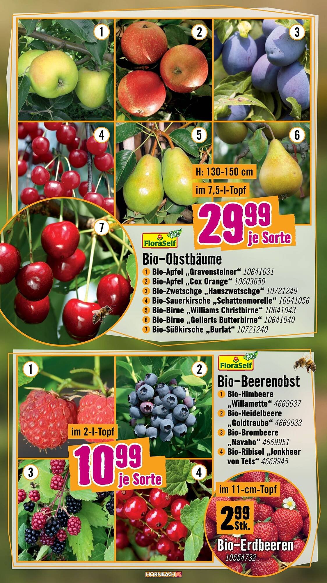 Hornbach Flugblatt