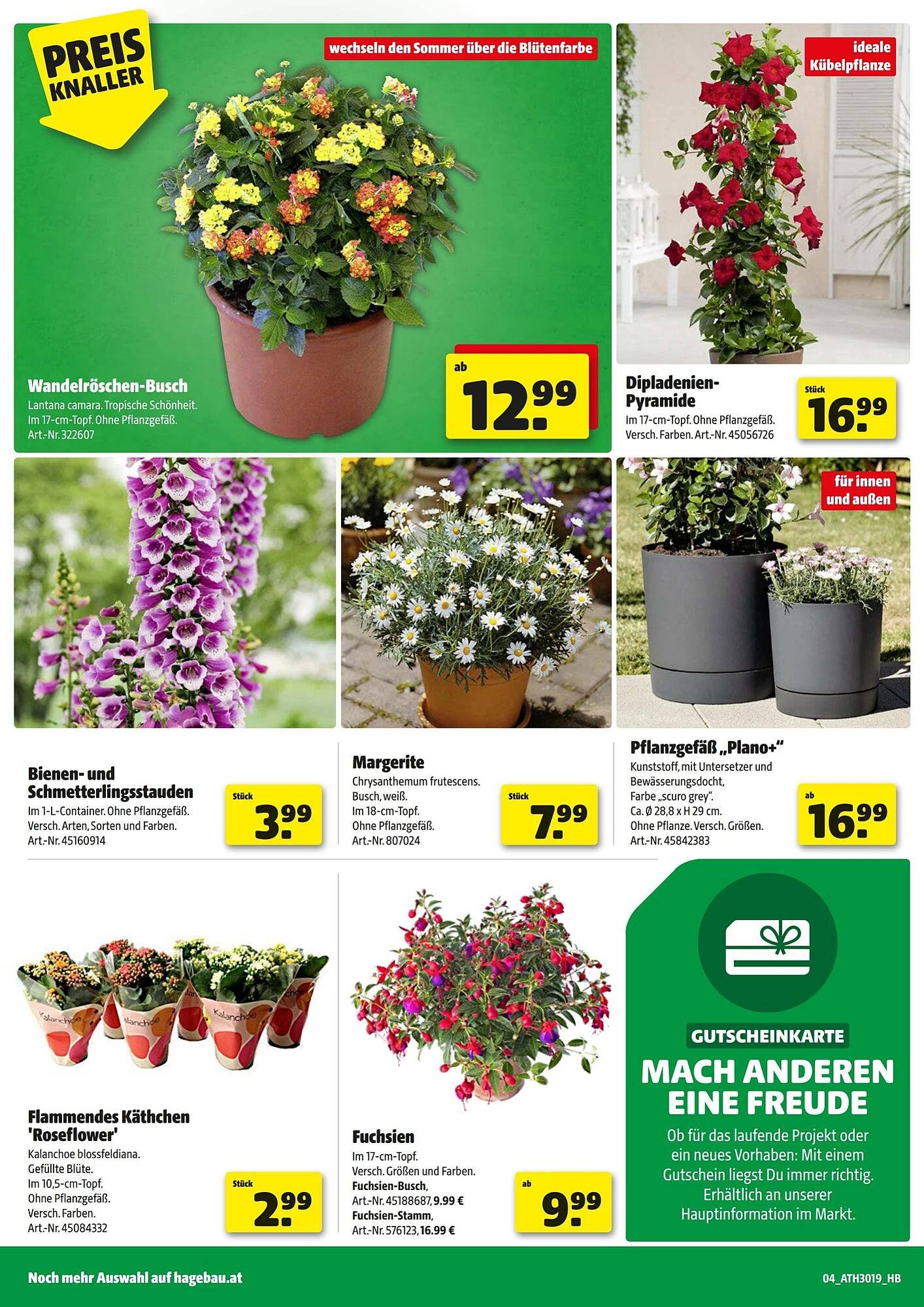 Hagebau Flugblatt