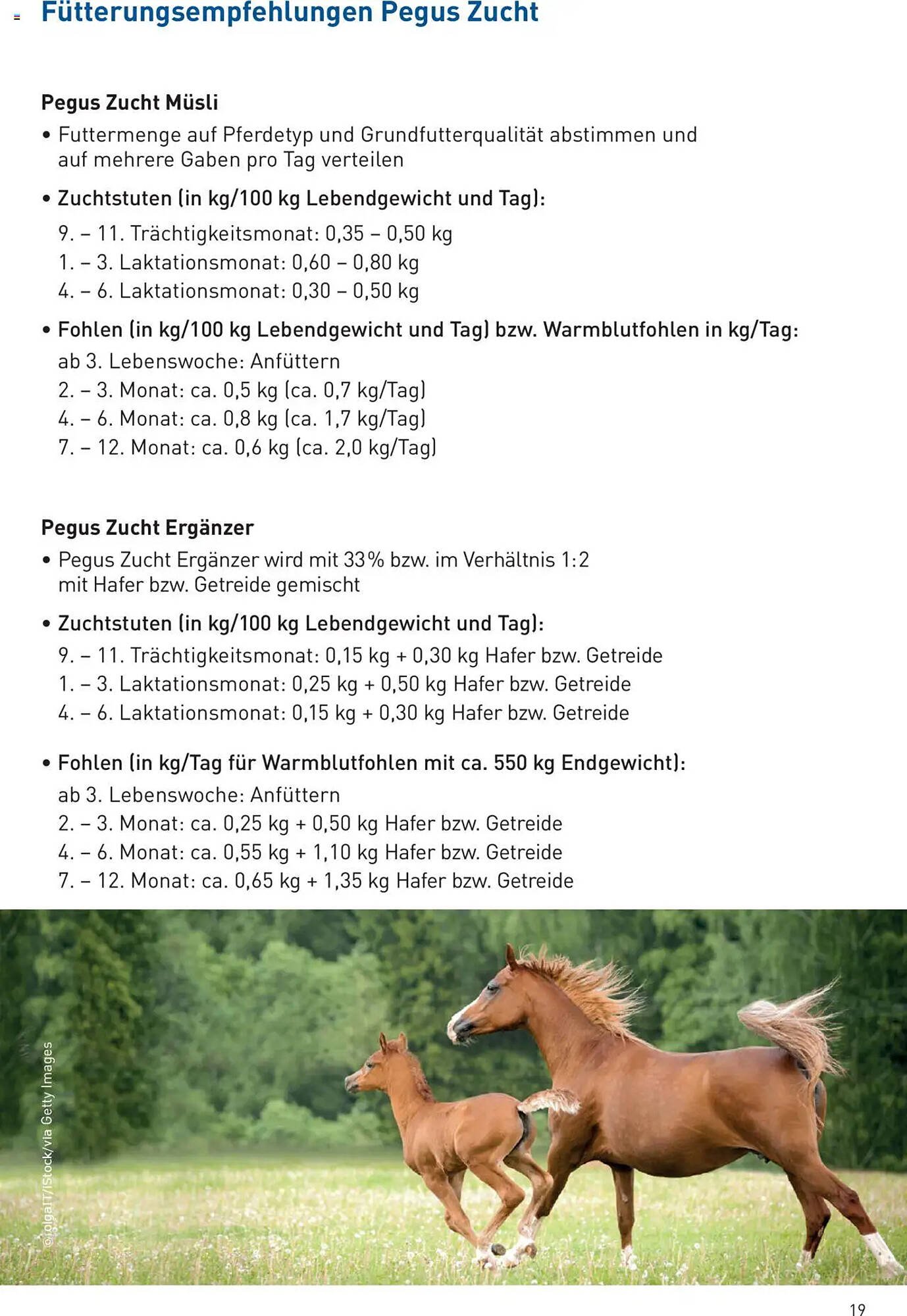 Lagerhaus Flugblatt (2025-09-10 - 2025-09-30)