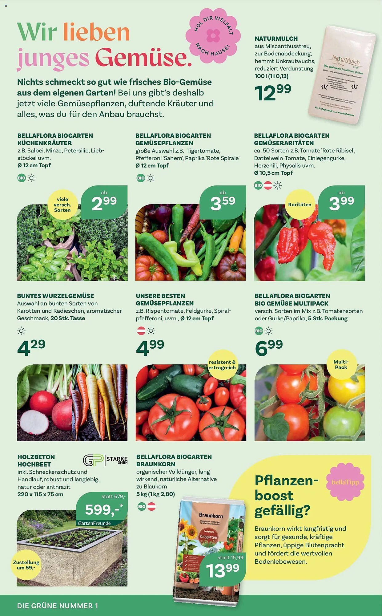 Bellaflora Flugblatt