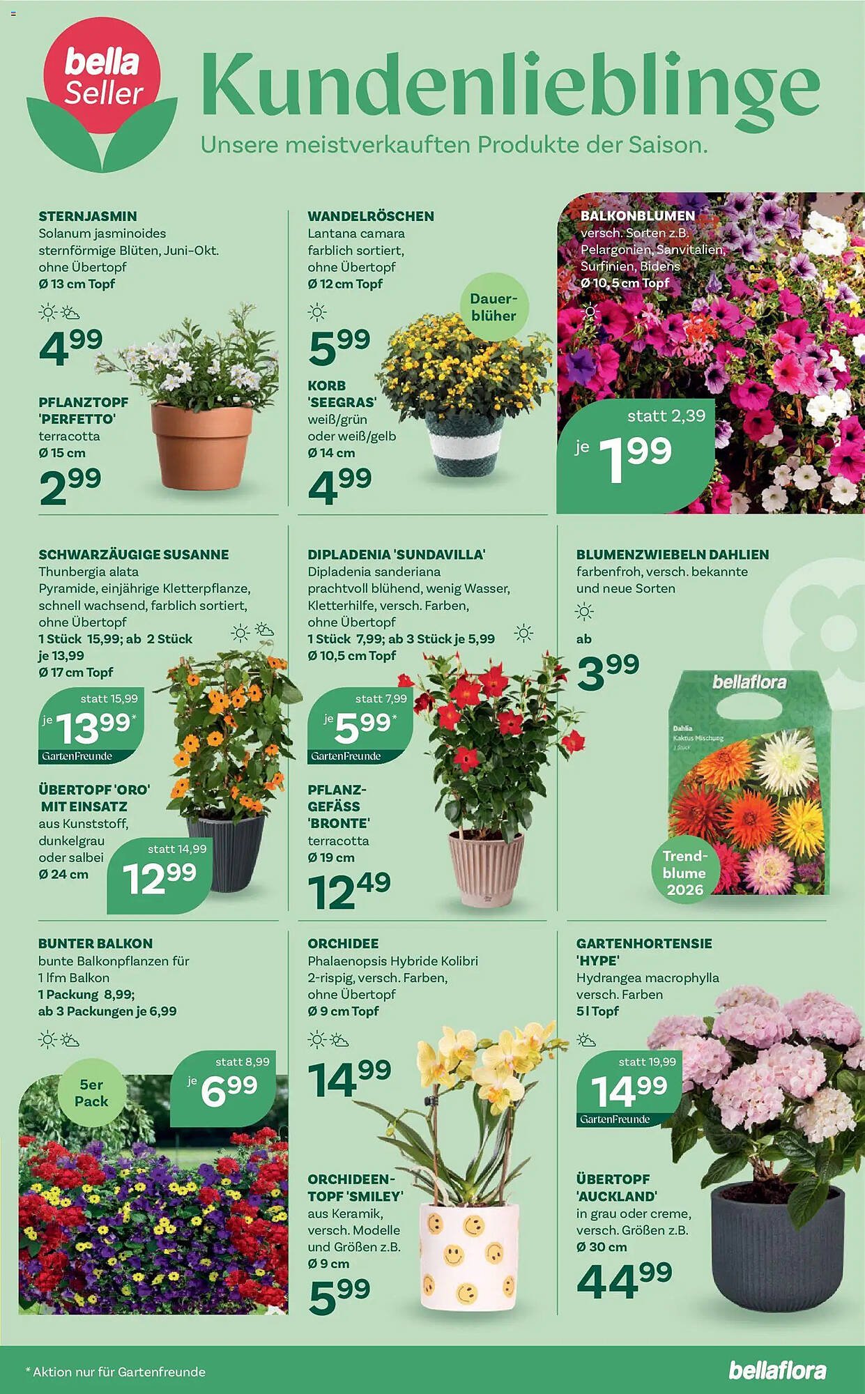 Bellaflora Flugblatt