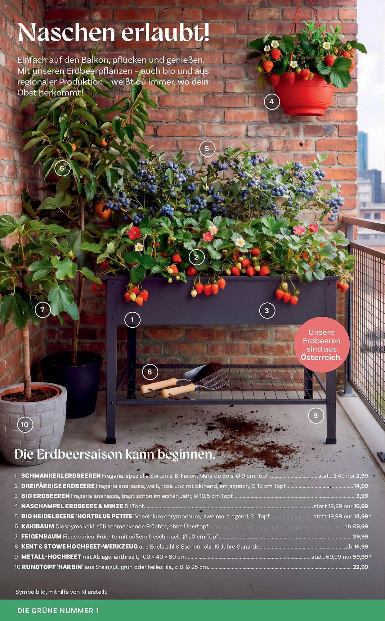 Bellaflora Flugblatt