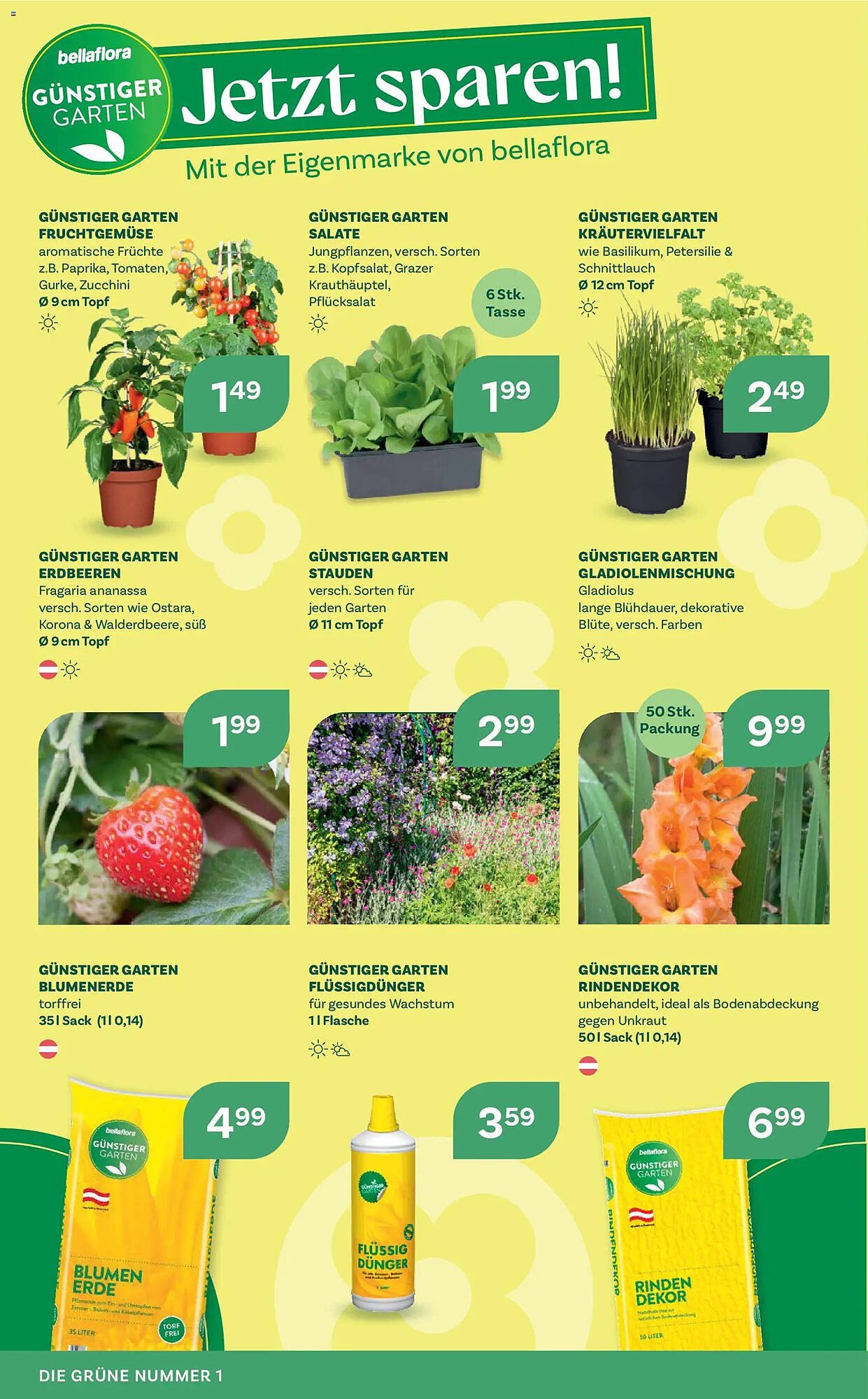 Bellaflora Flugblatt